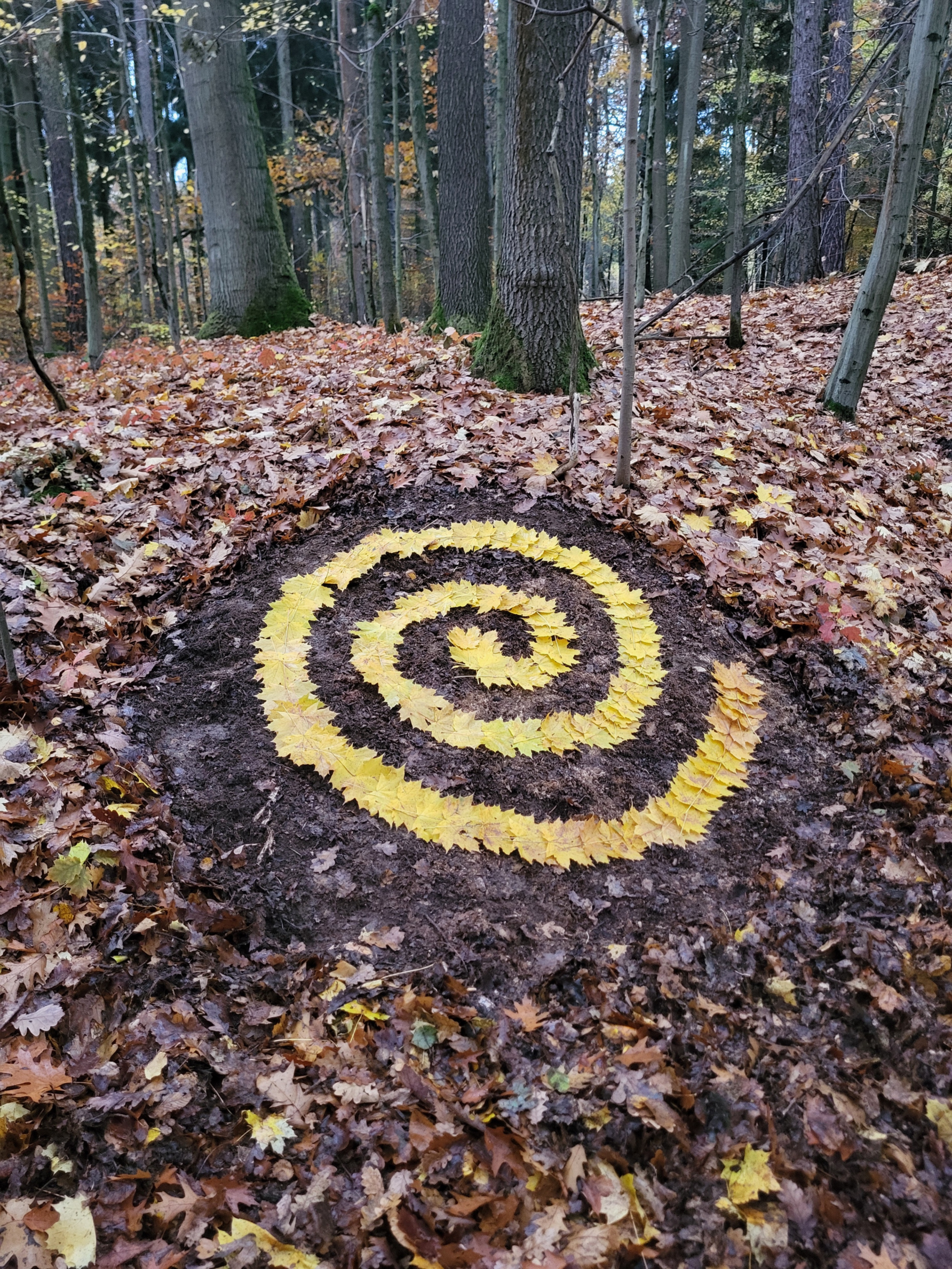 Spirale by Michael Spiegler