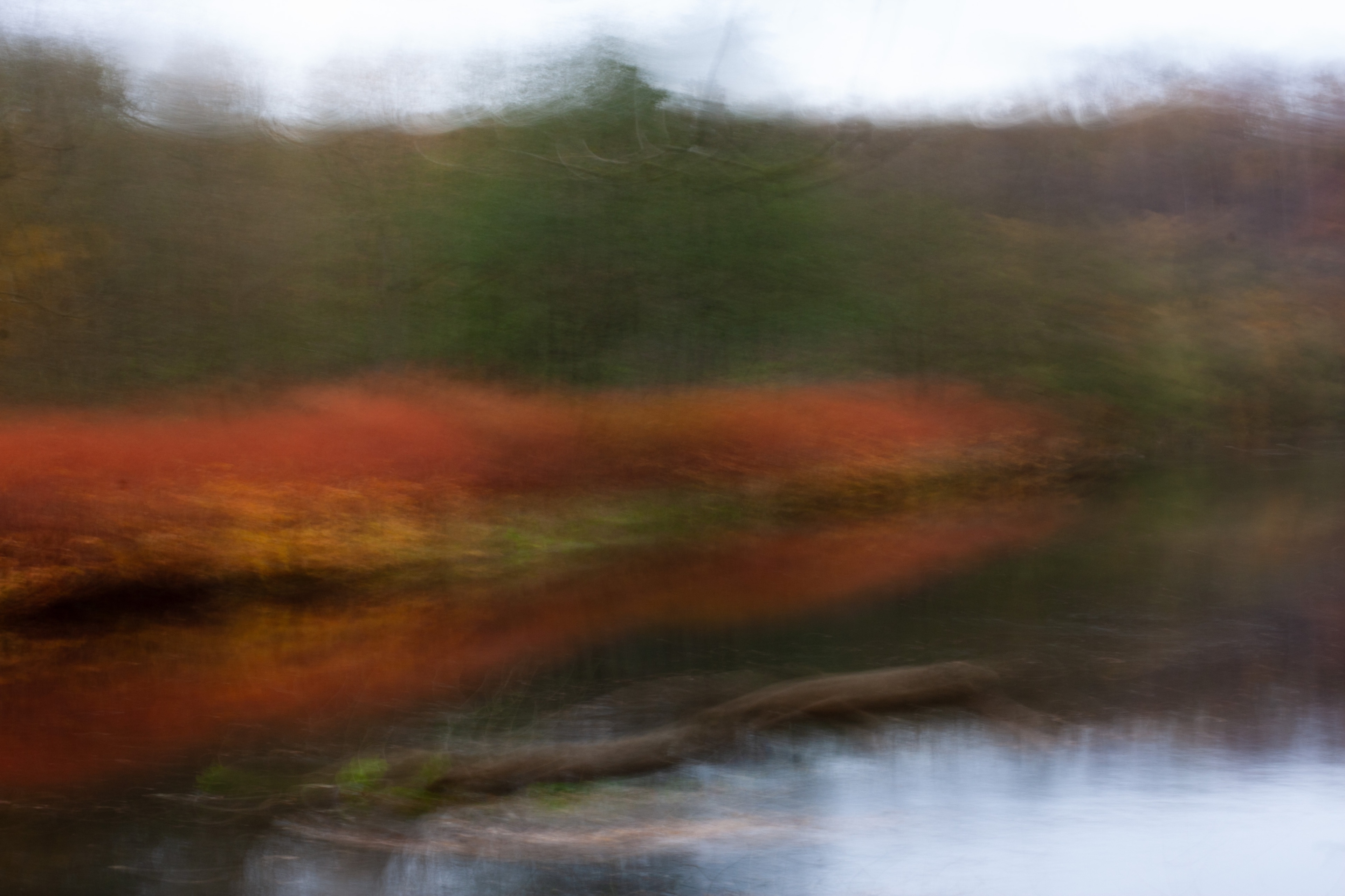 roots in the Zschopau by Ellen Isabell Richter