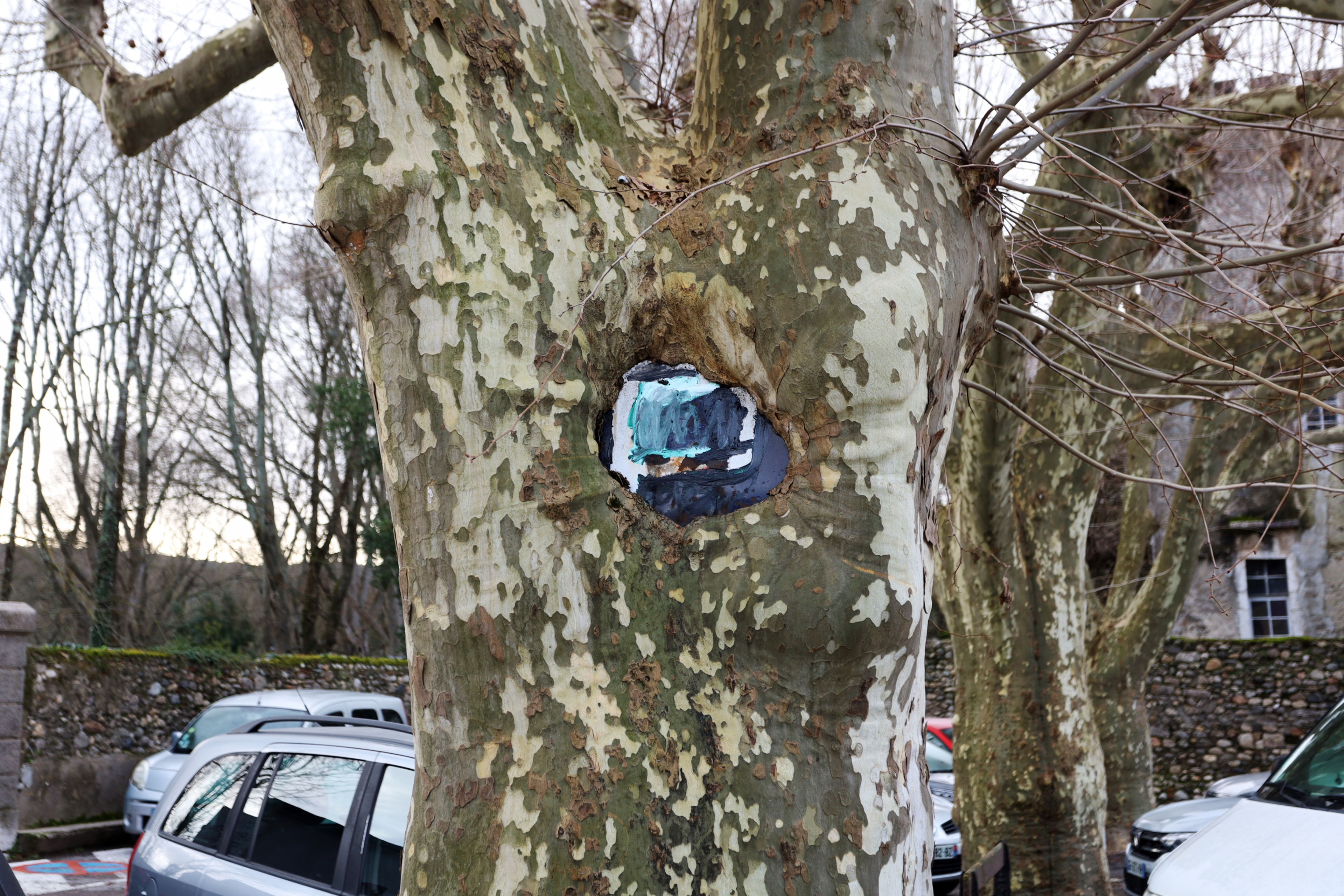 L'arbre est le blason sur by Peter Piek