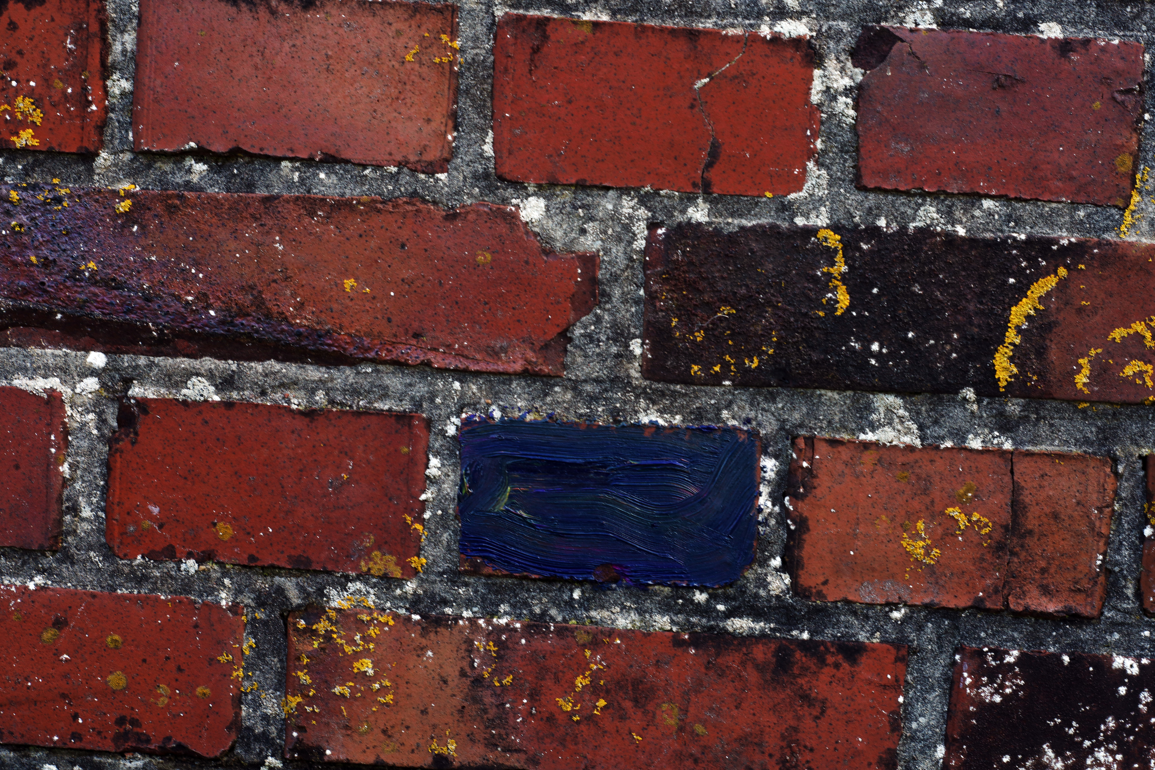 Different Rhythym by Peter Piek
