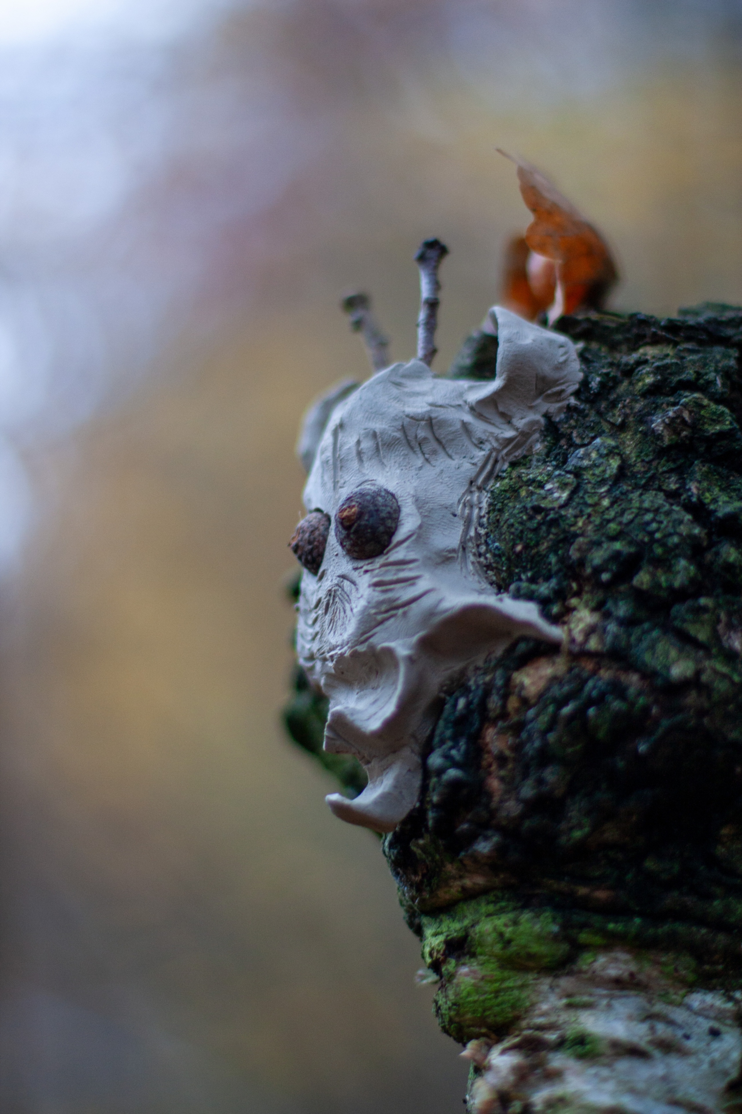 No Title by Robert Assmann