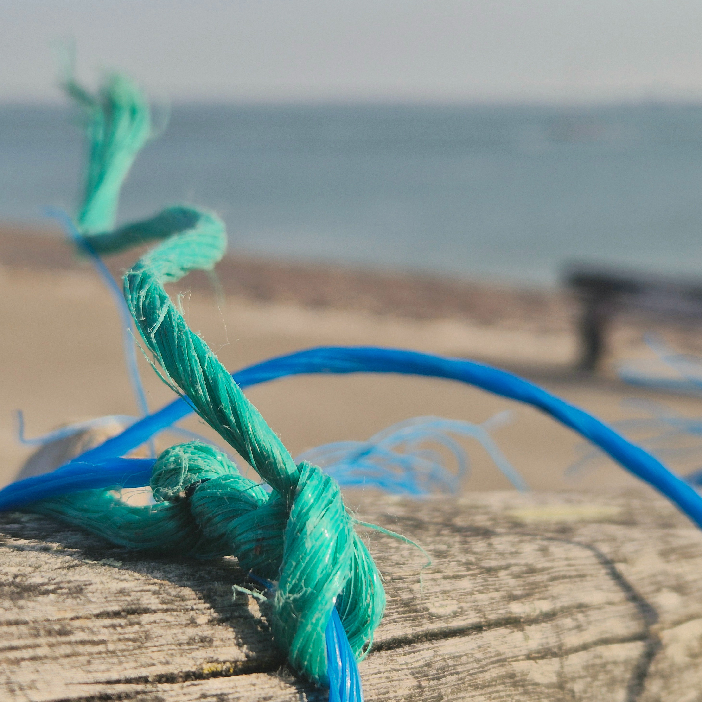 Green and blue at the Sea by Michael Trepel