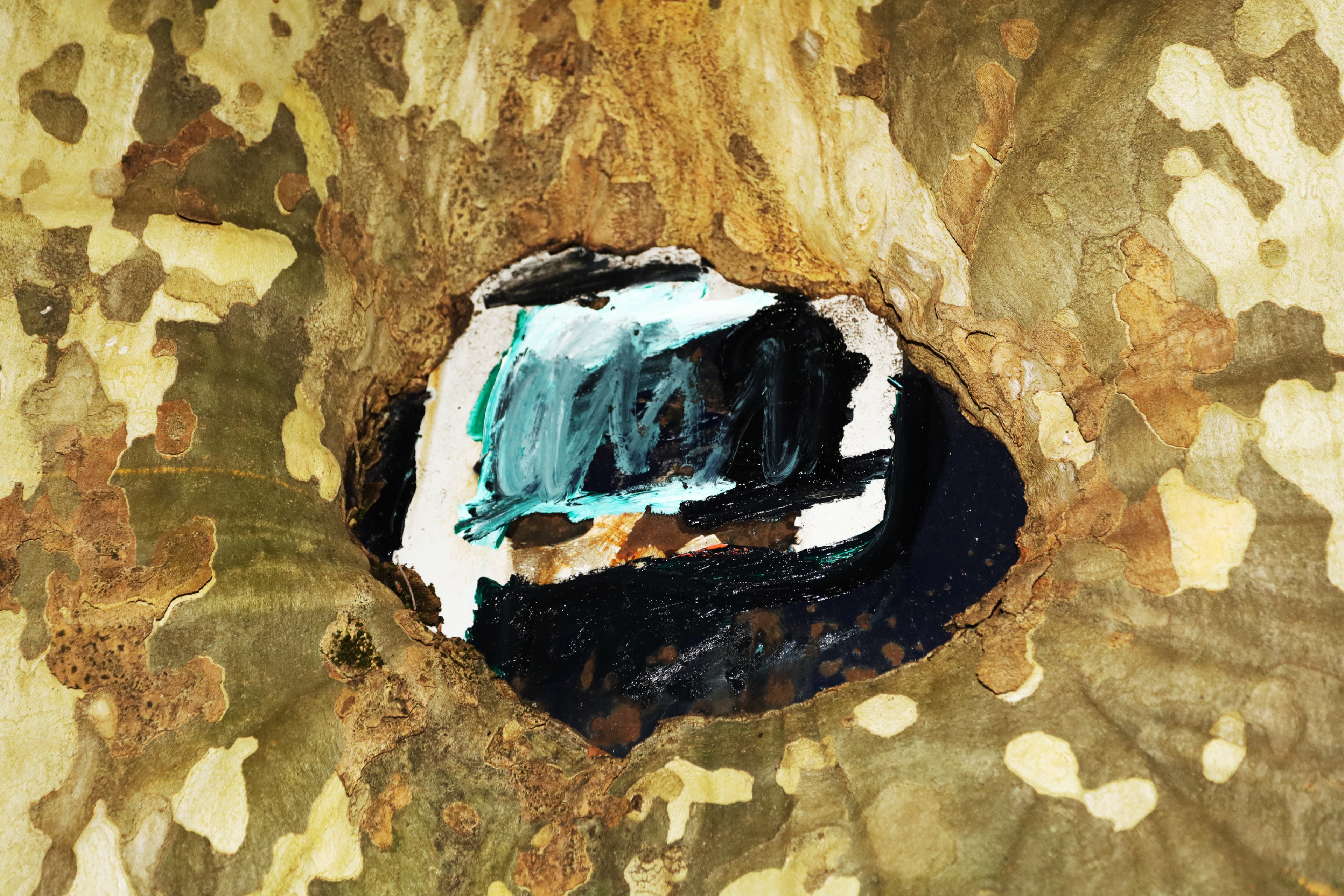 L'arbre est le blason sur by Peter Piek