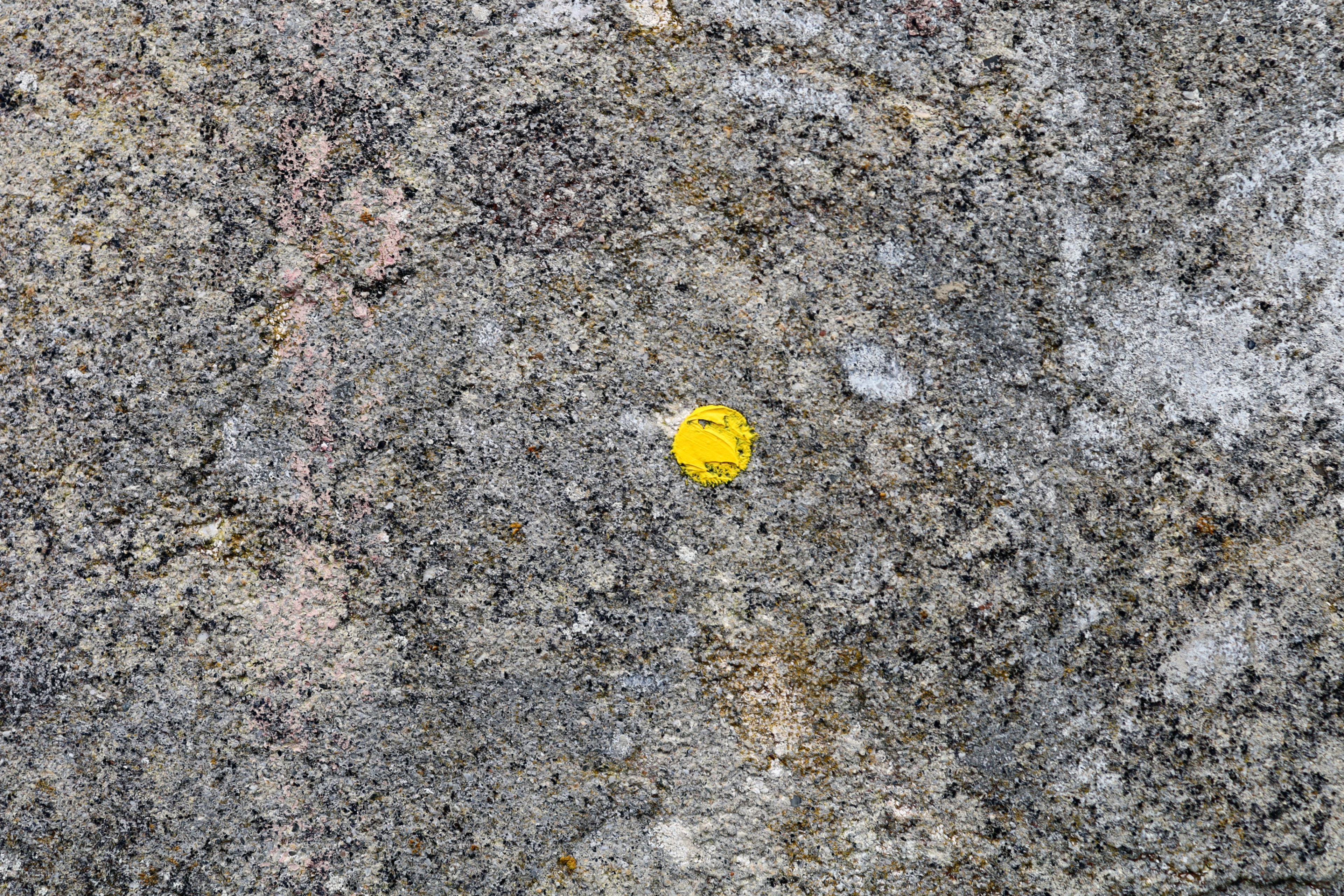little yellow dot by Peter Piek