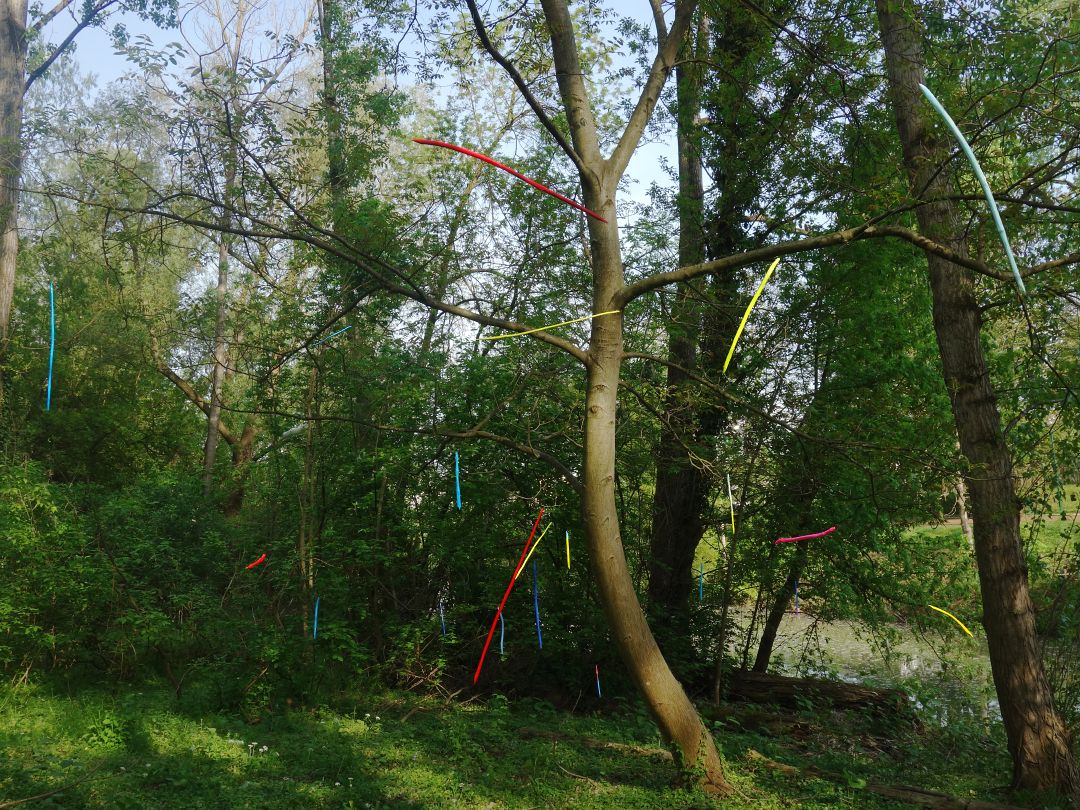 Tree Talk by Peter Piek