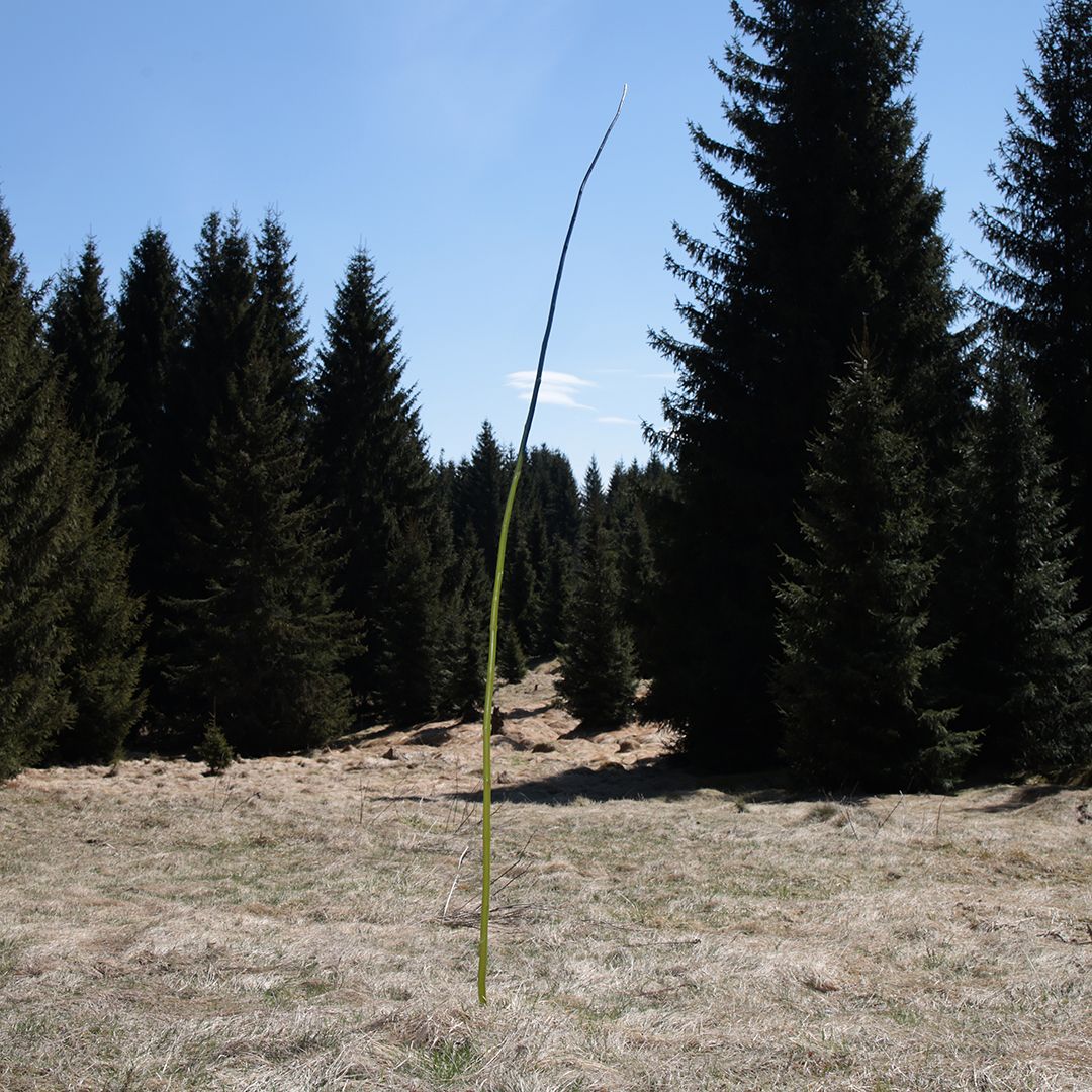 Wanderung by Peter Piek