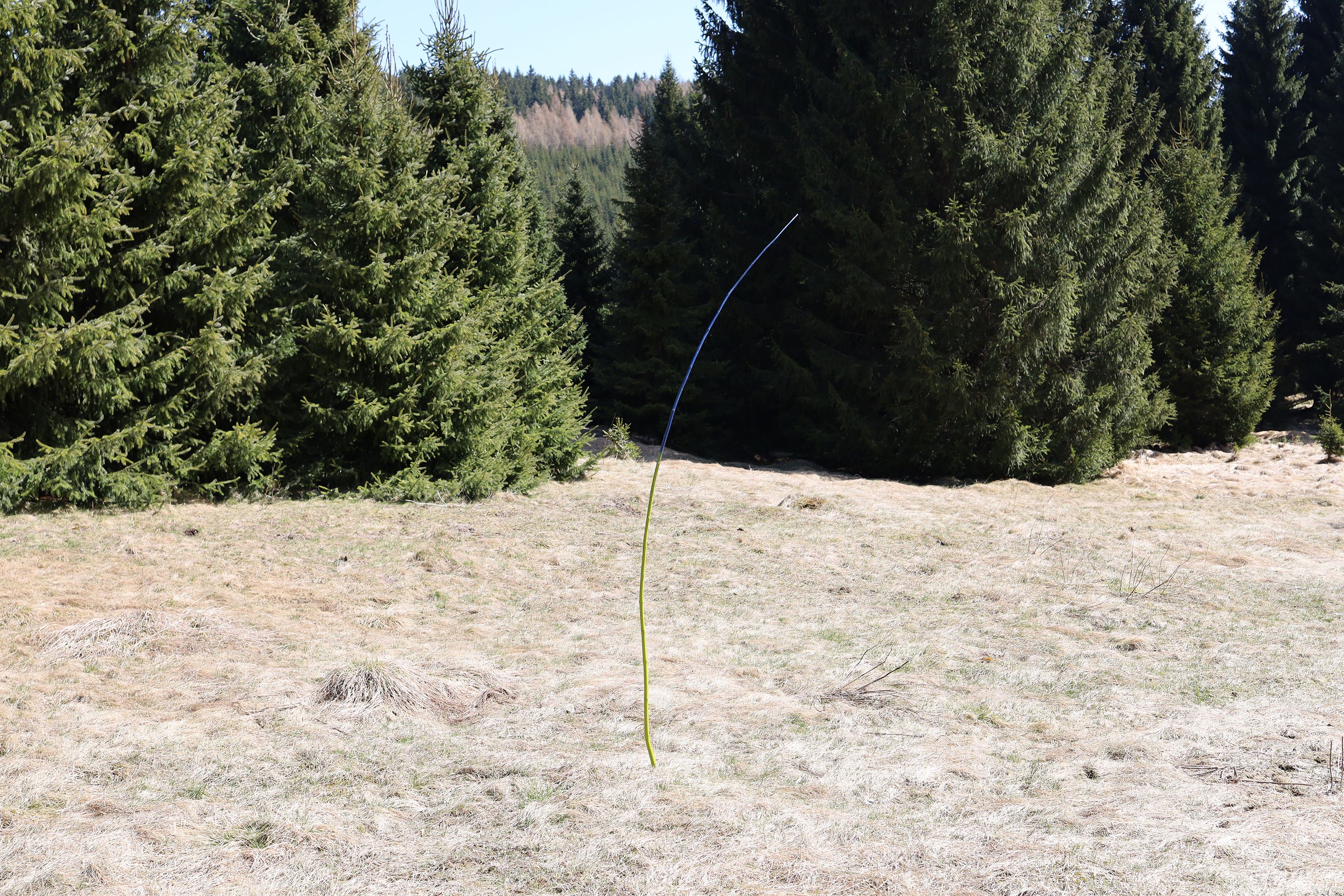 Wanderung by Peter Piek