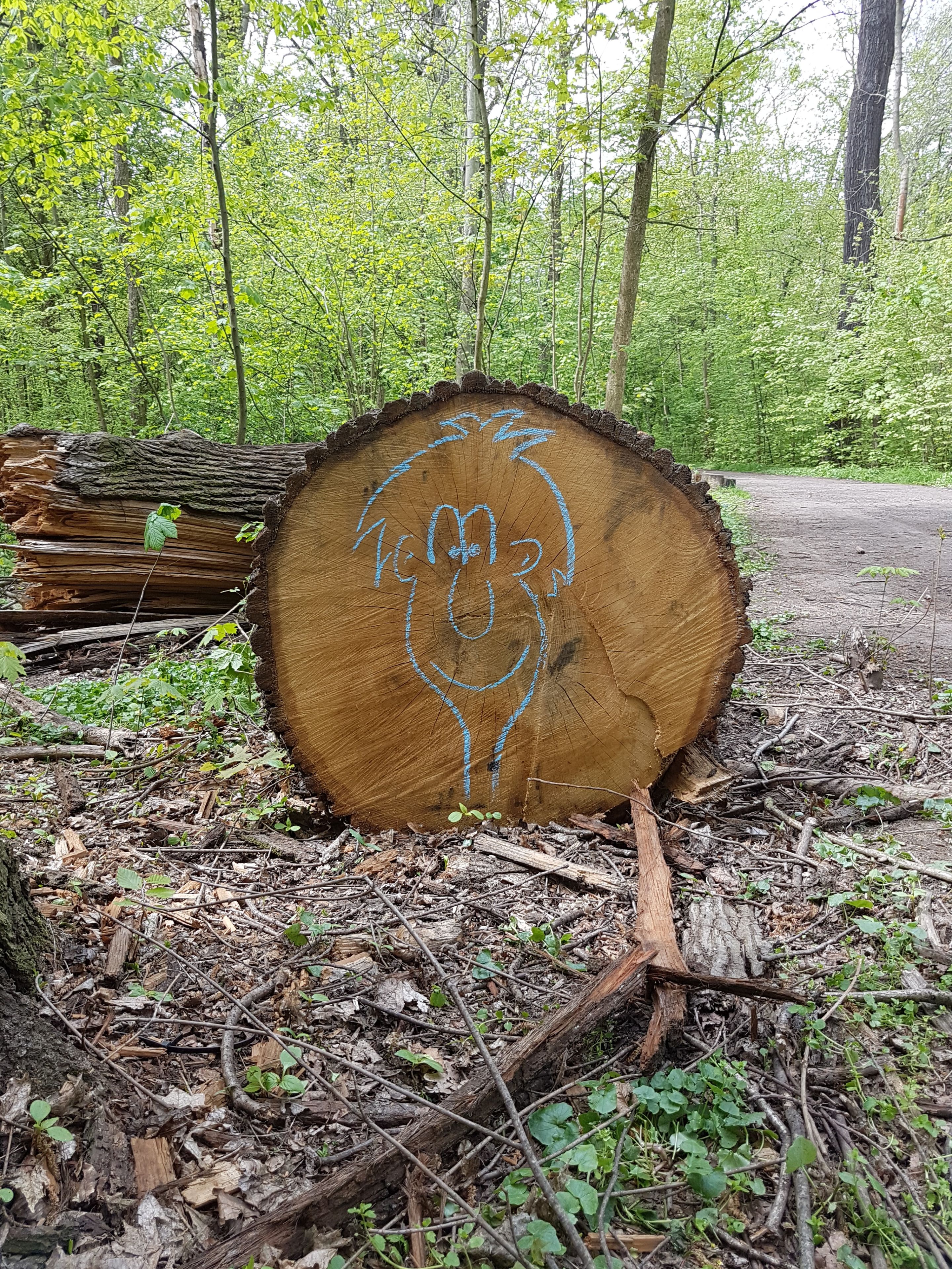 Fading Faces in the Woods by Faxpapier