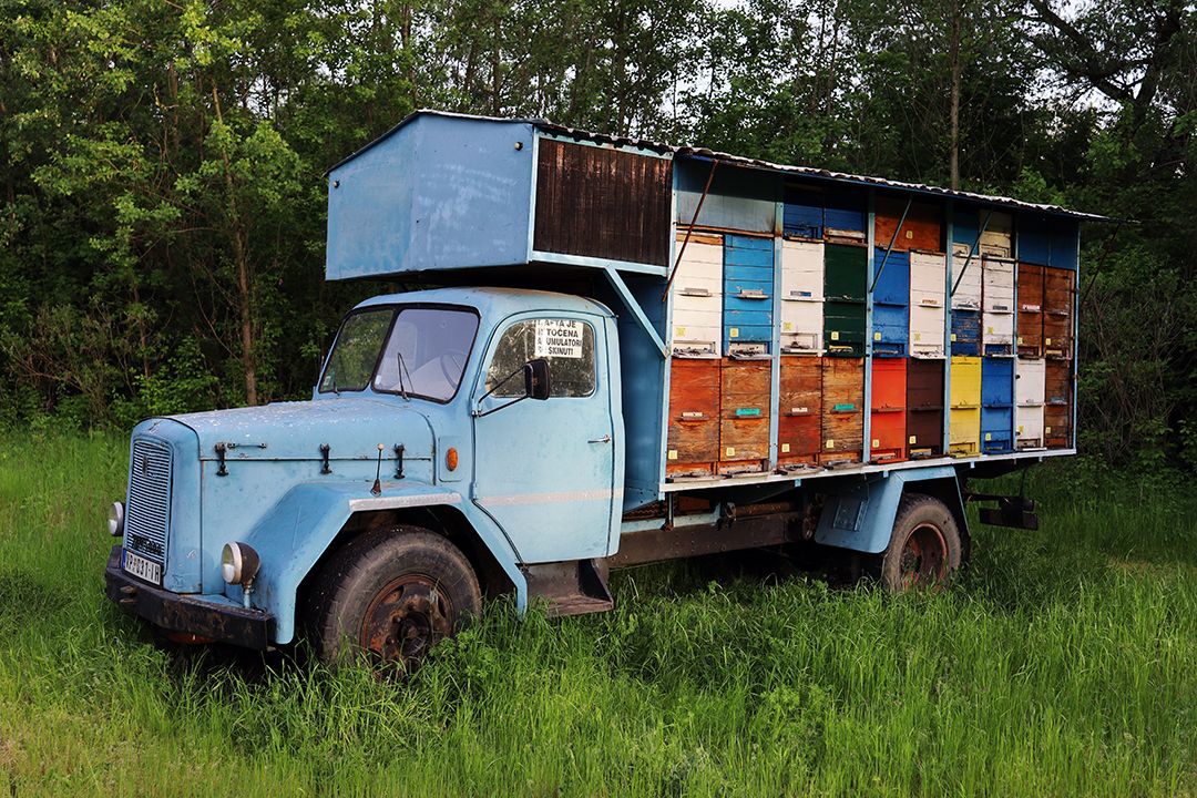 Bee Hive Truck with painted columns by Pete