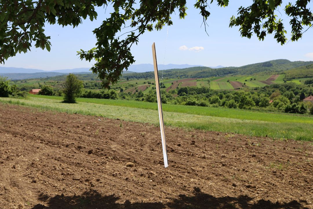 Southern Serbia Country White Wood Black by Peter Piek