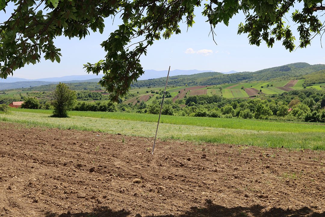 Southern Serbia Country White Wood Black by Peter Piek