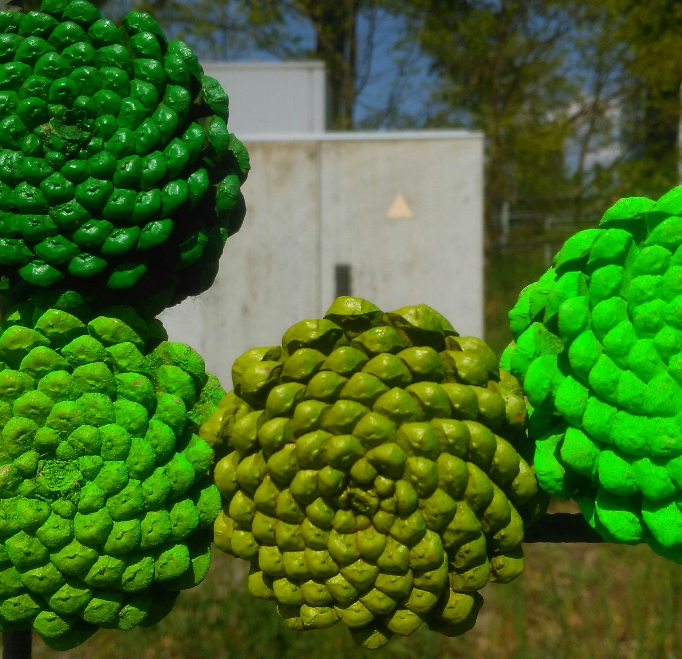 Green Dots by Johannes