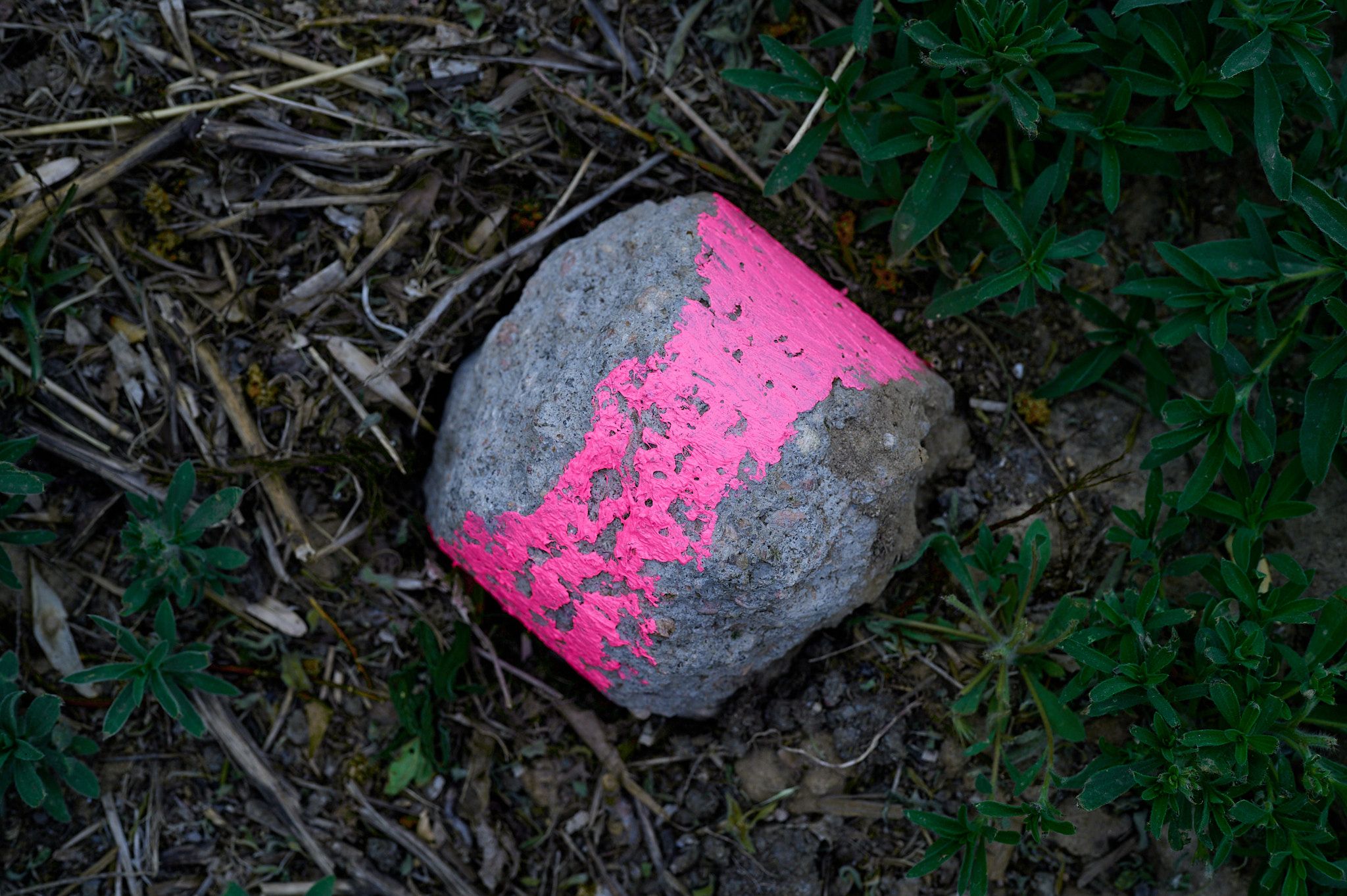 Breaking Ground 2 by John Roemer