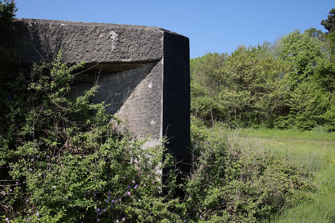 Black Bunker Tip Sad Dolphins Bay by Peter Piek