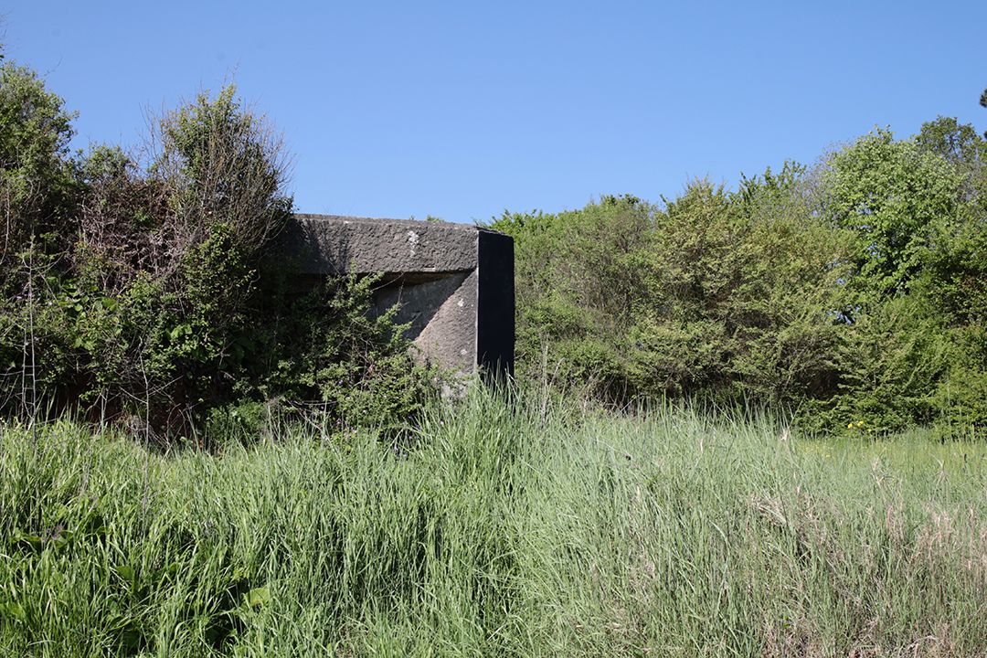 Black Bunker Tip Sad Dolphins Bay by Peter Piek