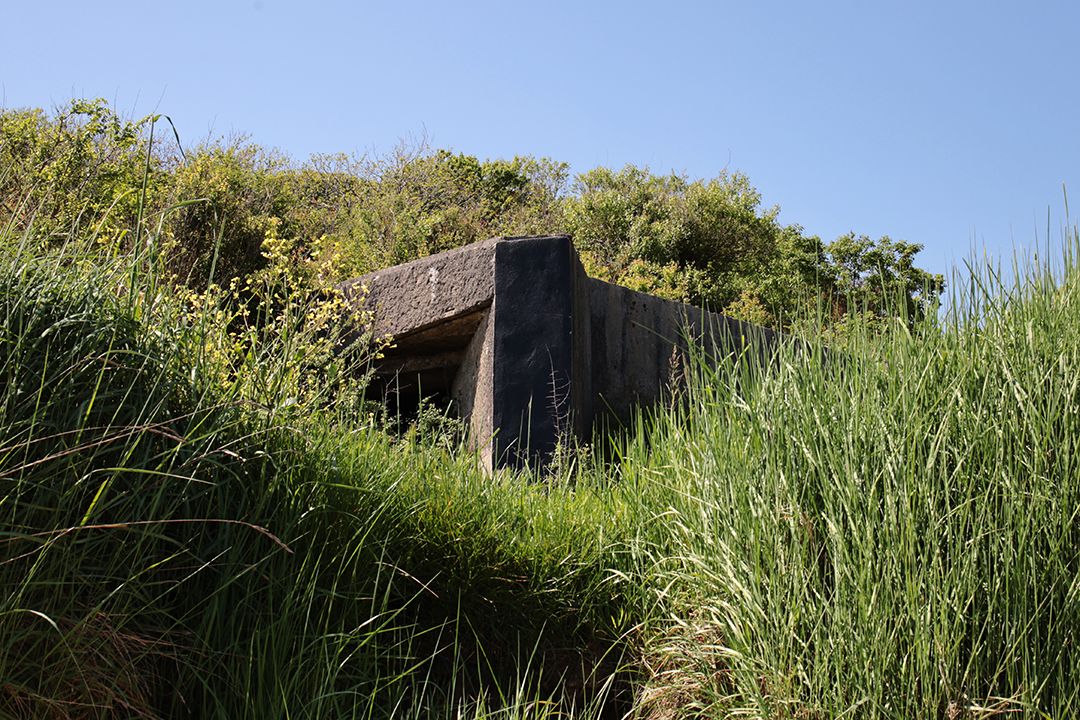 Black Bunker Tip Sad Dolphins Bay by Peter Piek