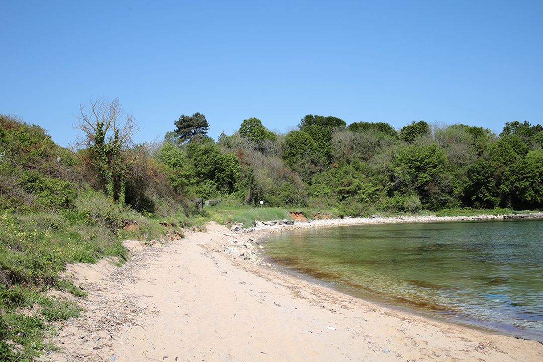 Black Bunker Tip Sad Dolphins Bay by Peter Piek