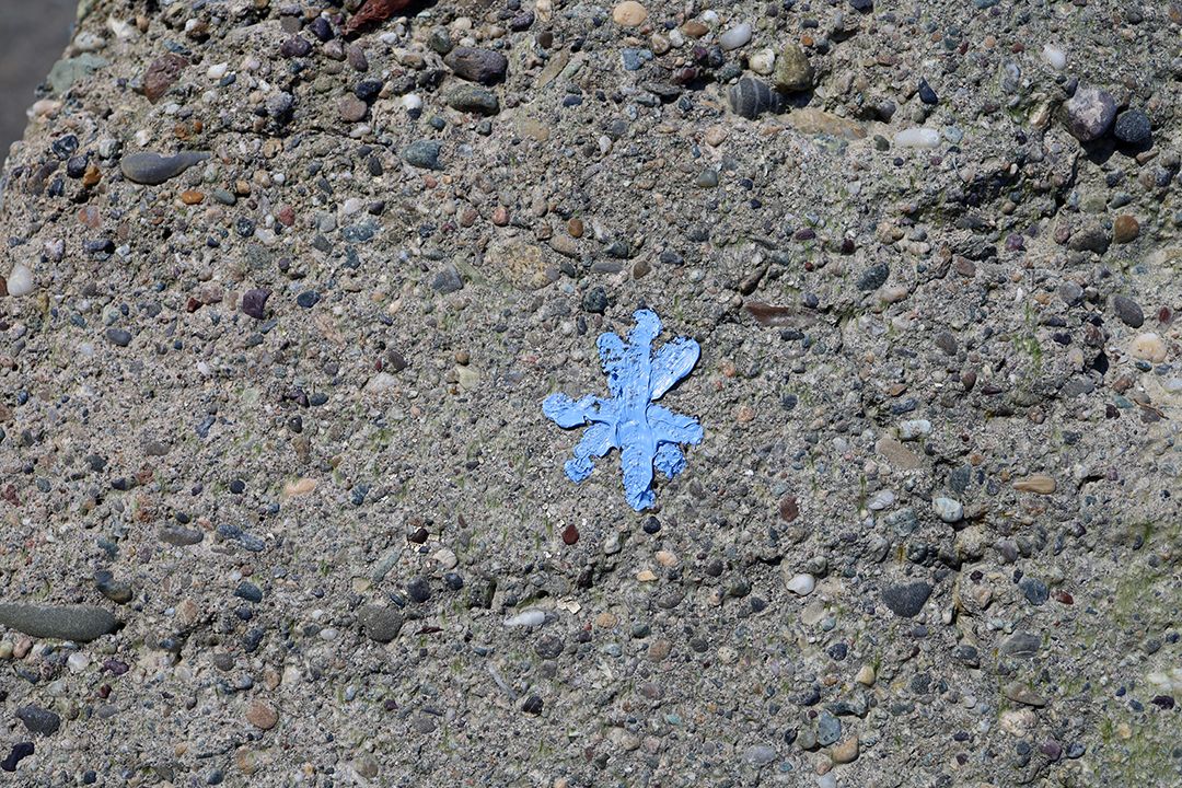 little blue star by Peter Piek