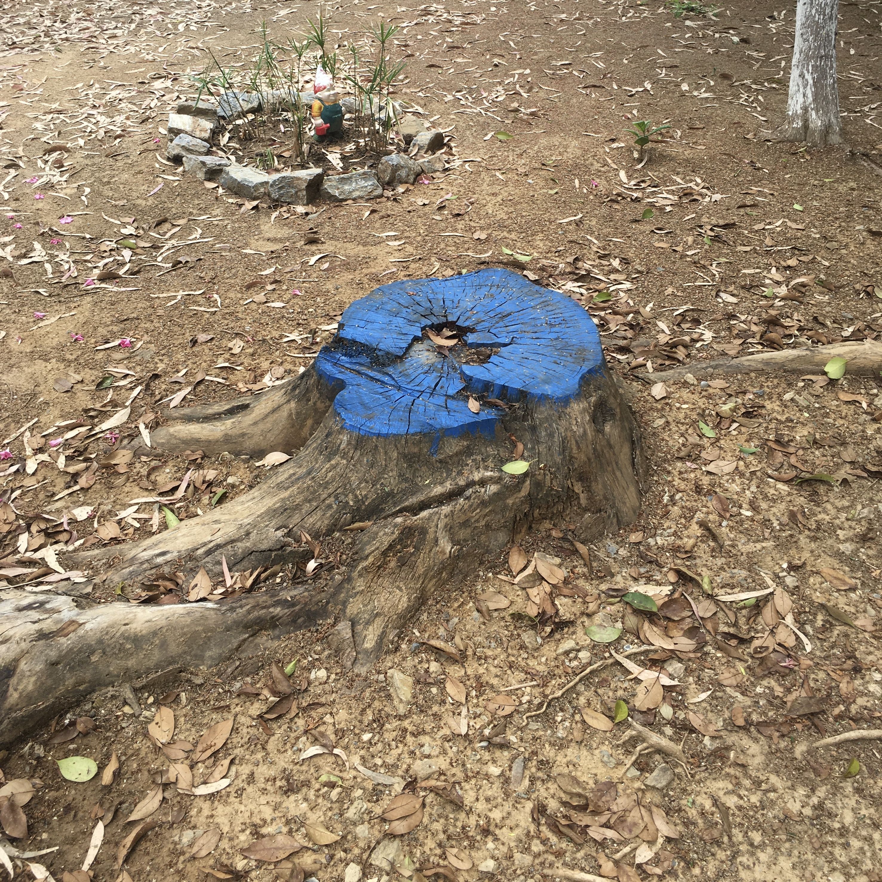 Blue Melody Tree Stump by Anton