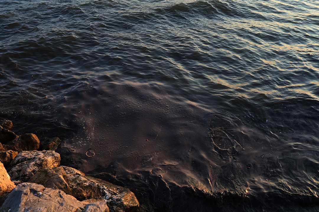 oil film in the mediterranean sea by Peter Piek