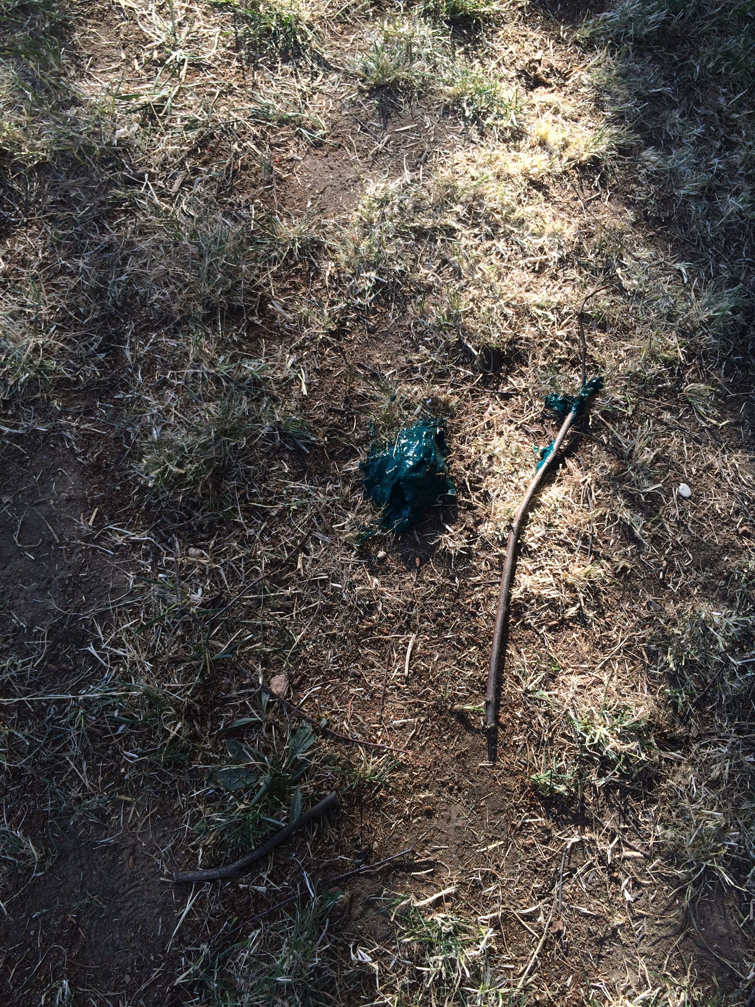 Screen Printing Cadmium Green (Fallen) by Maren Pfeiffer