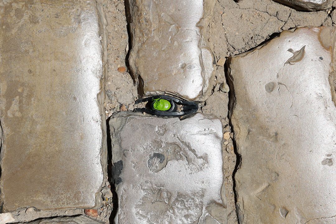 Green Eye Faro by Peter Piek