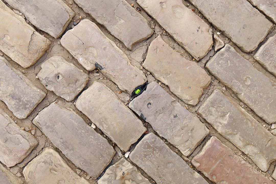 Green Eye Faro by Peter Piek
