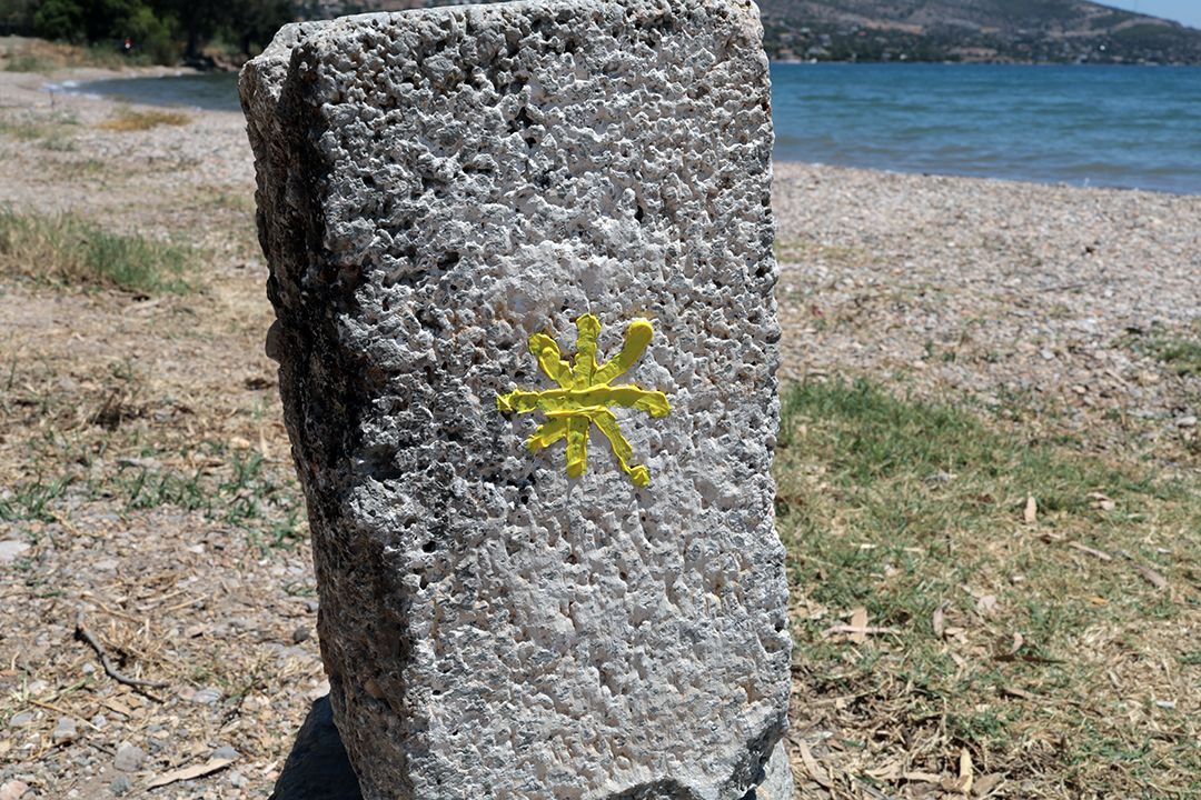 Two Yellow Stars by Peter Piek