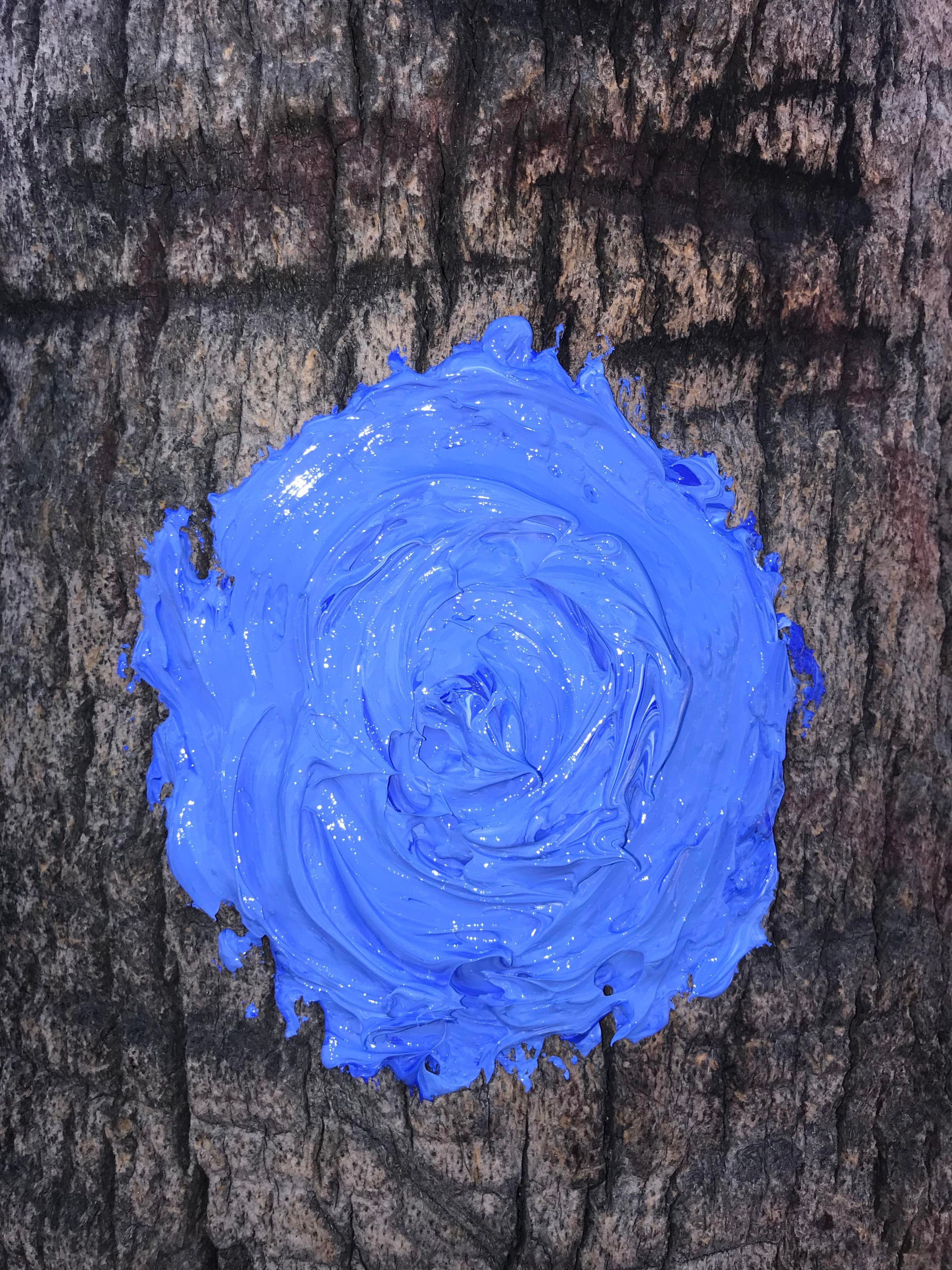 Blue Swirl On Palm Tree by Bee Appleseed
