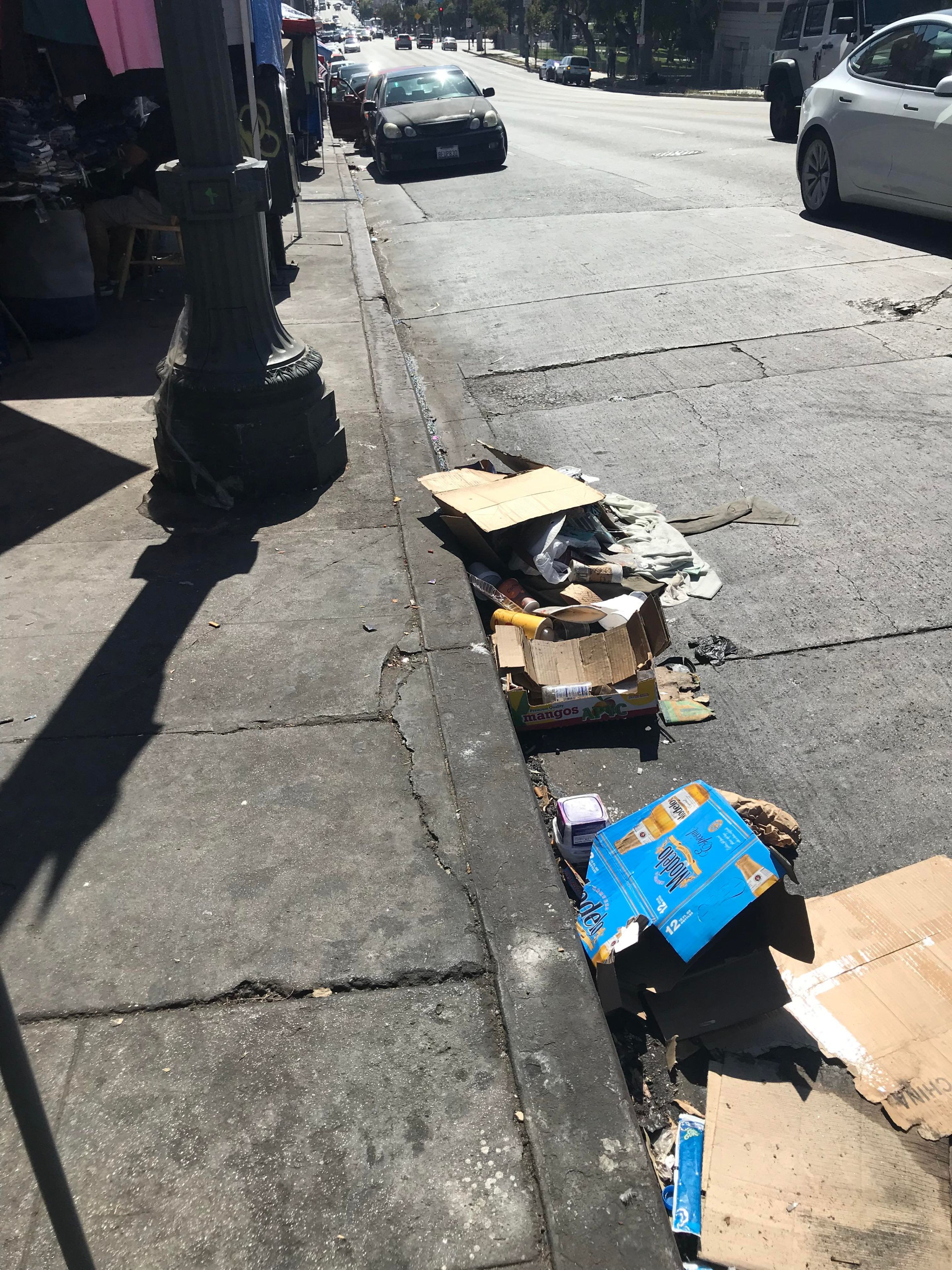Society Painted This Red Curb Black, shit and piss and garbage on concrete by Bee Appleseed