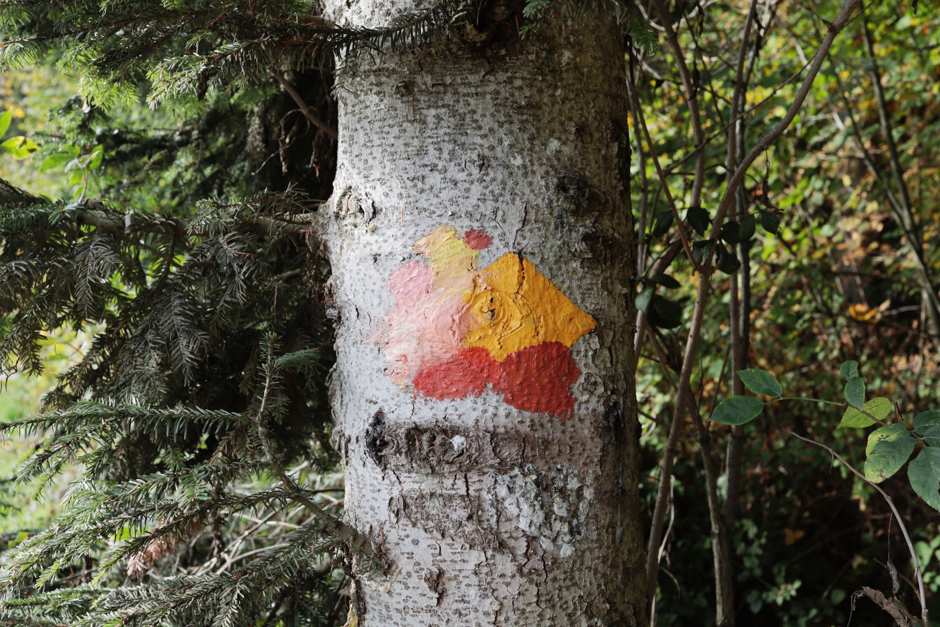 Wegweiser in den Alpen by Peter Piek