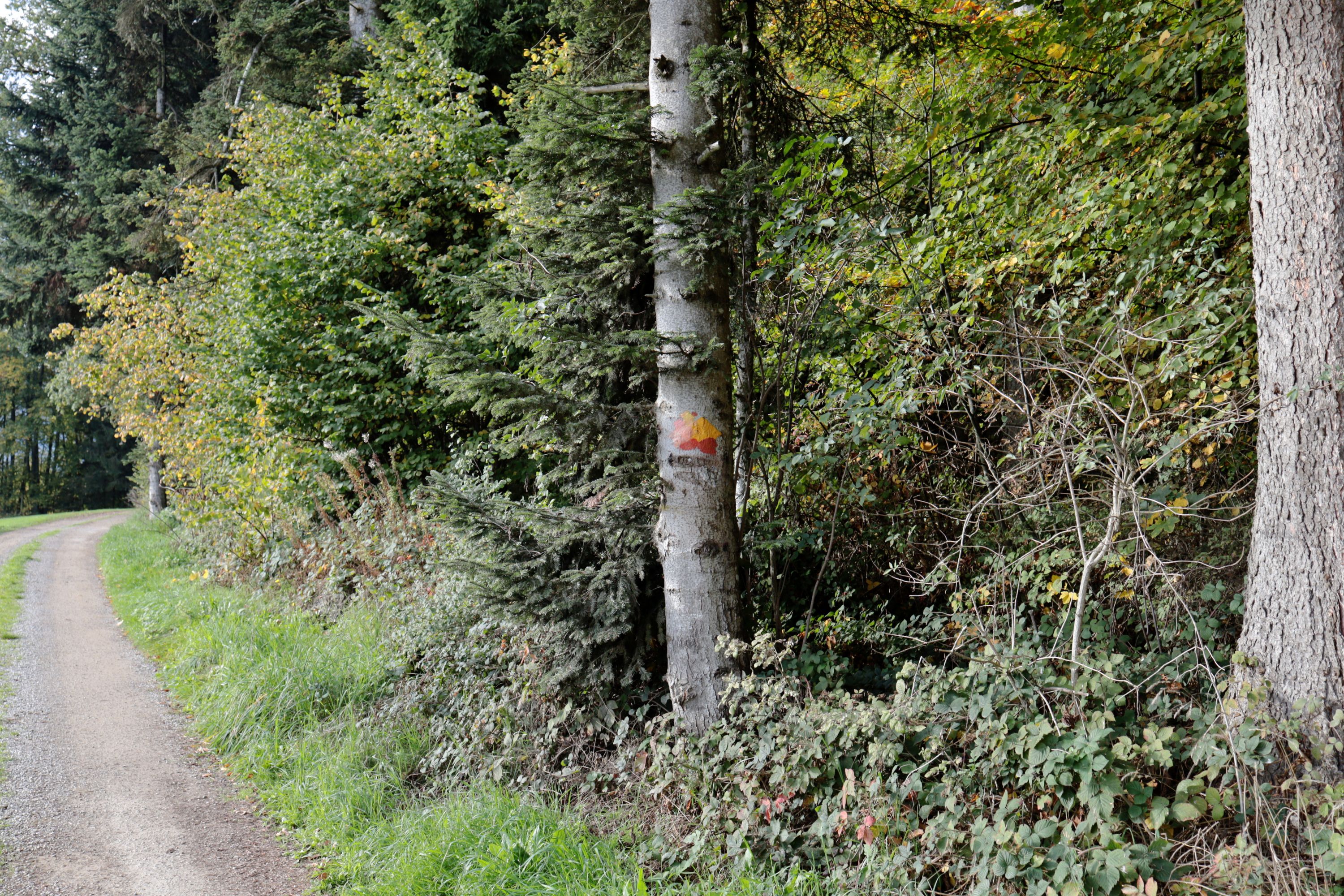 Wegweiser in den Alpen by Peter Piek