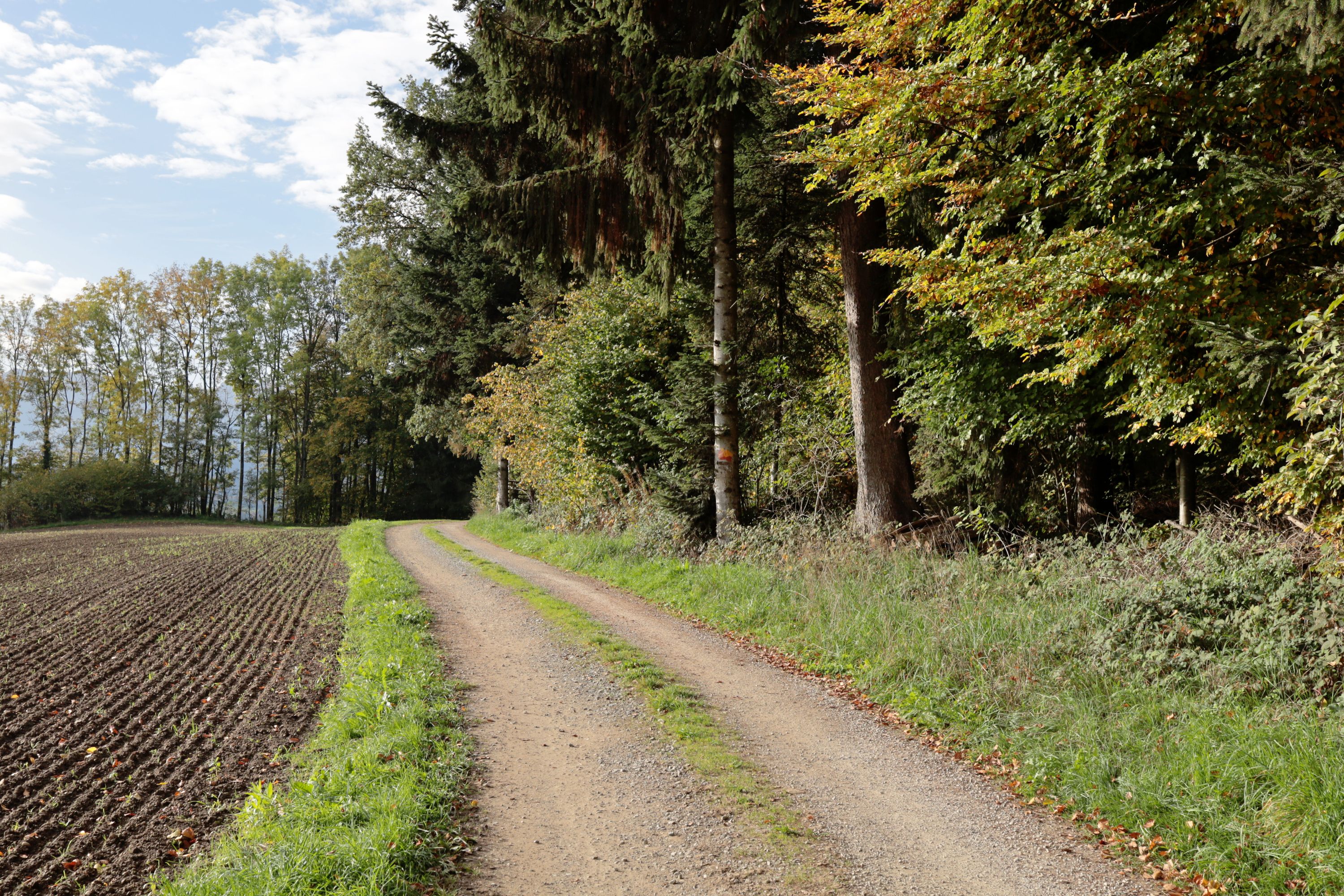 Wegweiser in den Alpen by Peter Piek