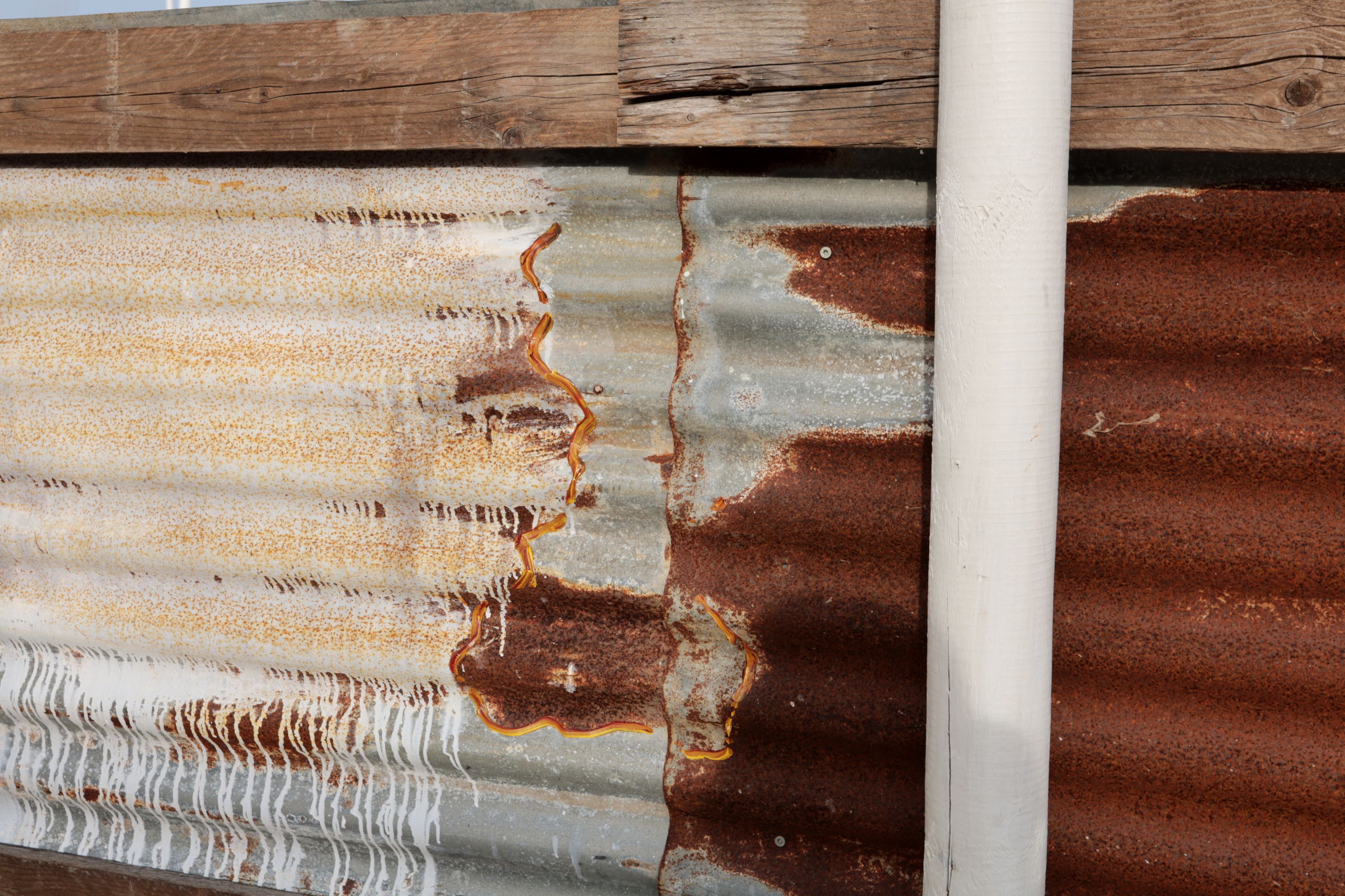 off season fence white and brown by Peter Piek
