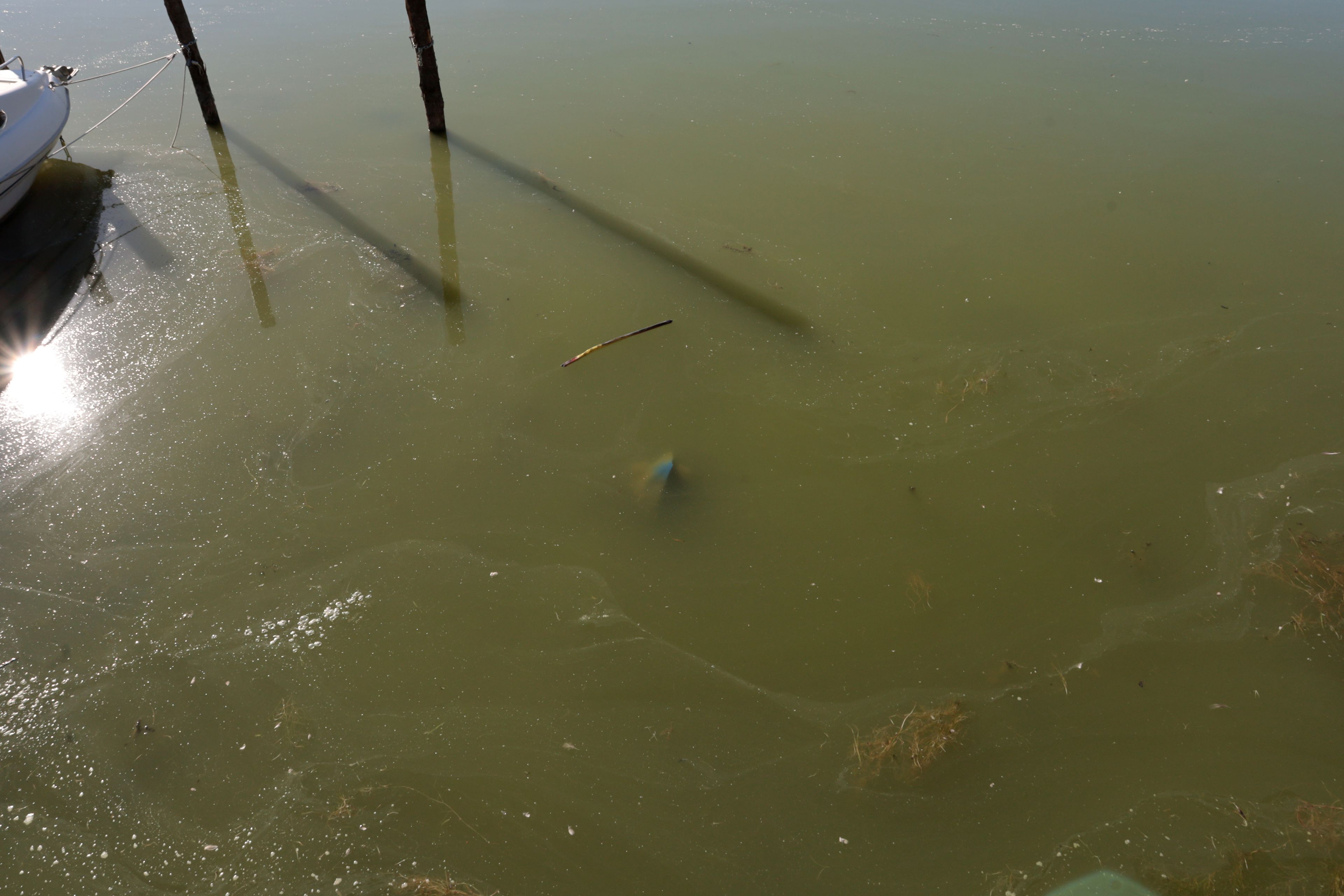 Trasimeno Underwater Blue Rock by Peter Piek