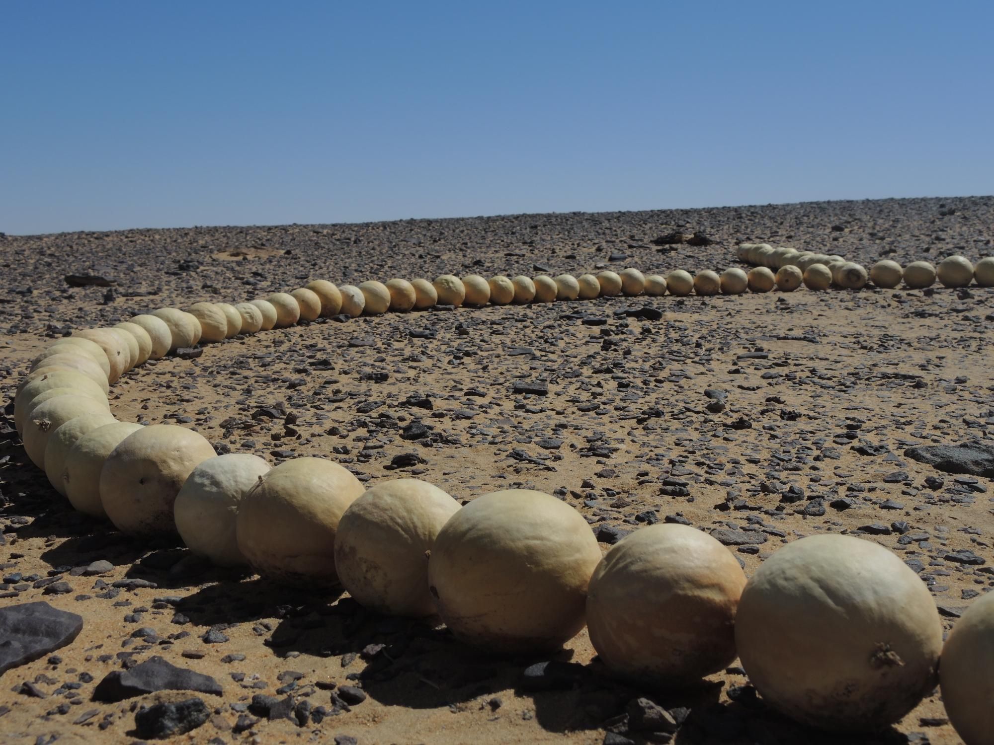 a circle breaking the line by Khosro Adibi