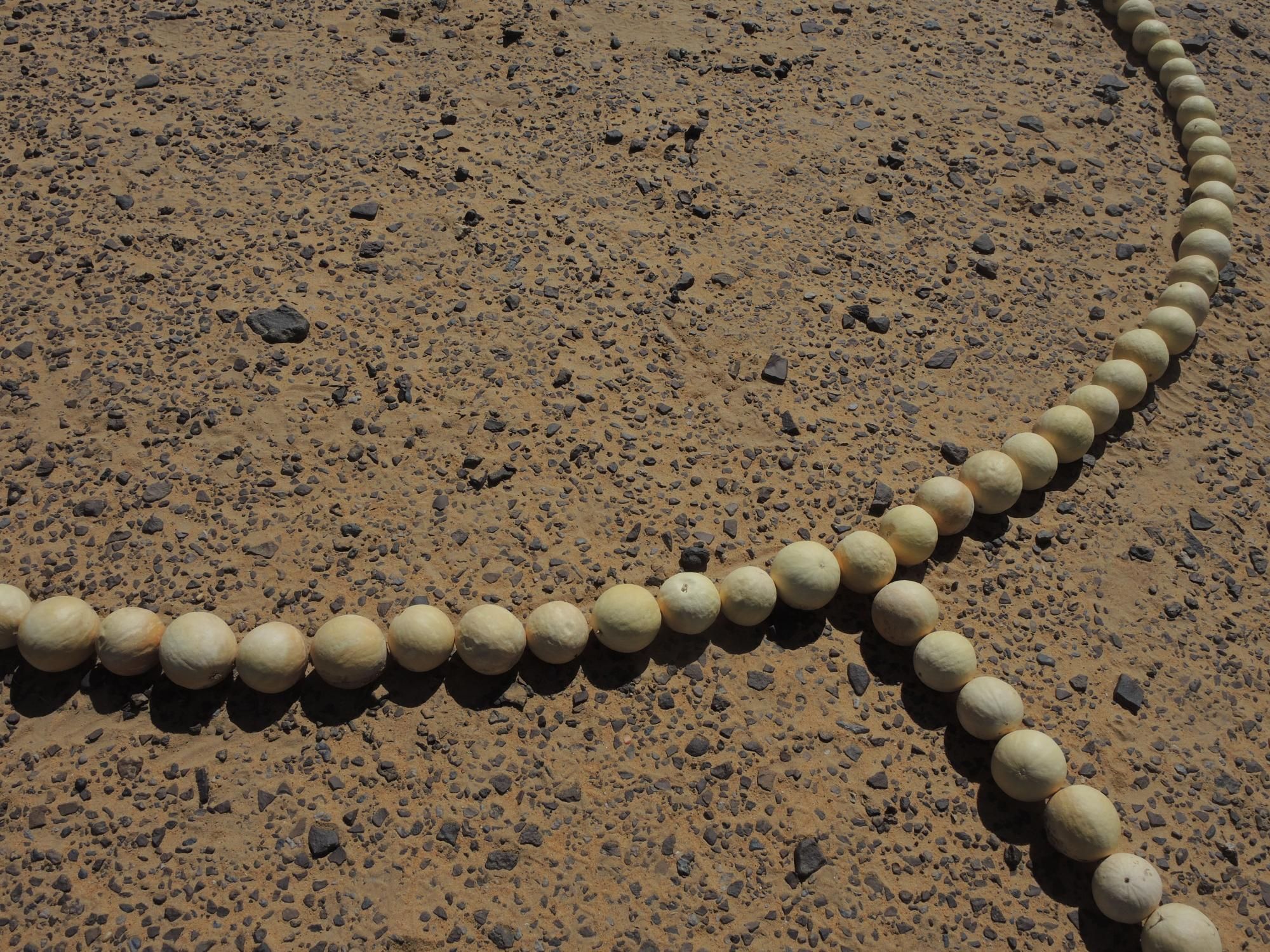 a circle breaking the line by Khosro Adibi