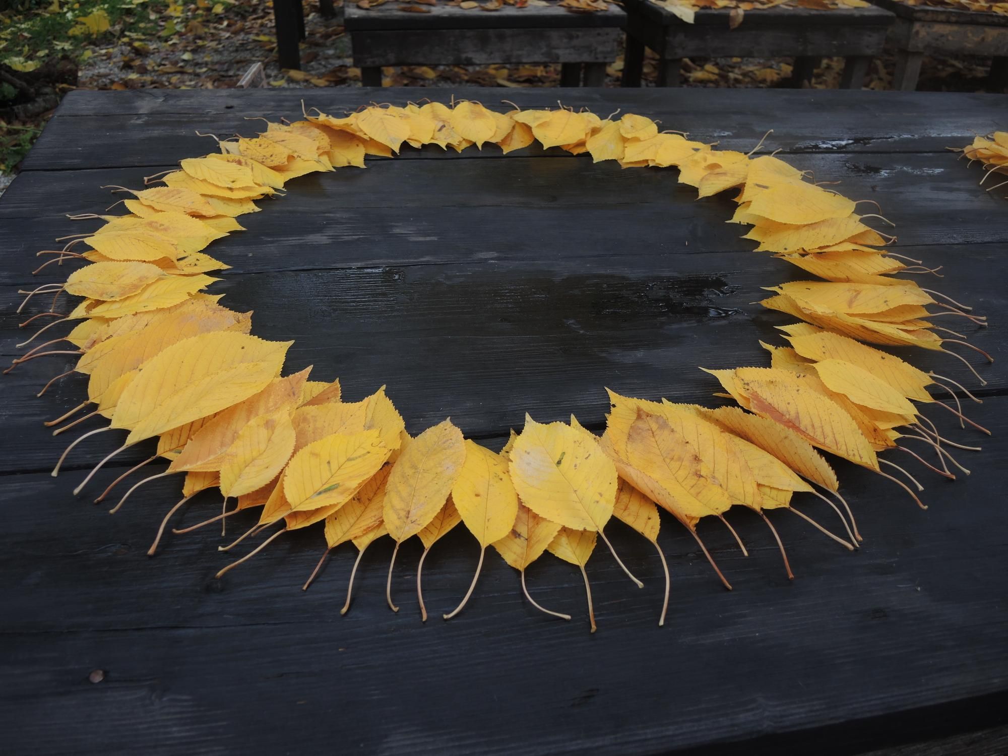 circle by Khosro Adibi