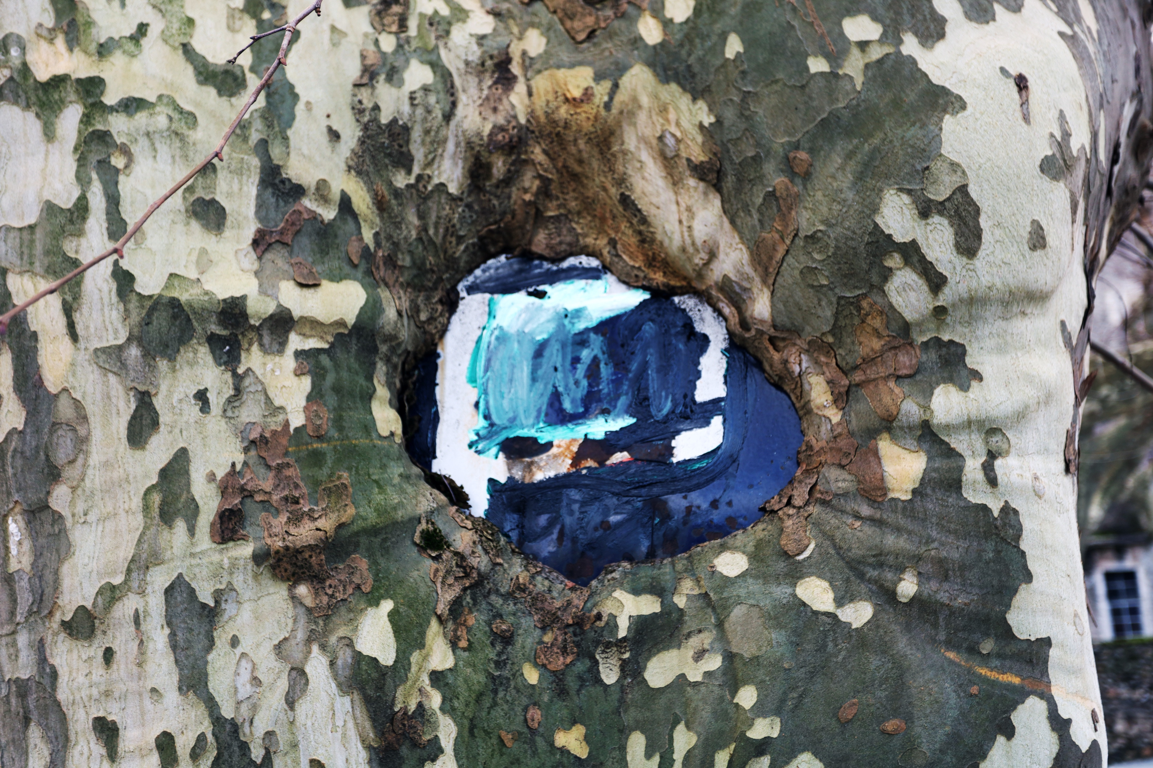 L'arbre est le blason sur by Peter Piek