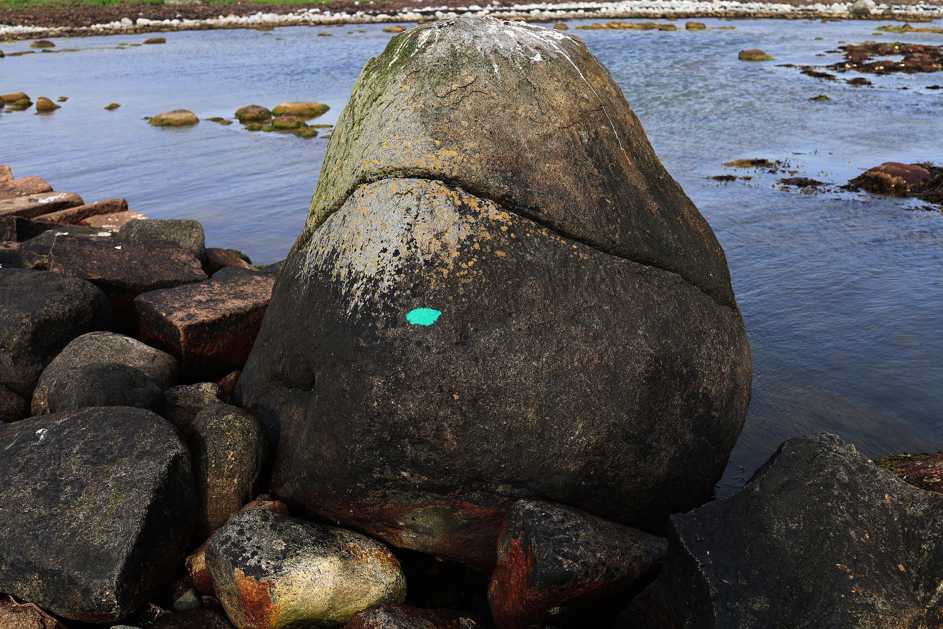whale / chromoxid on rock by Peter Piek