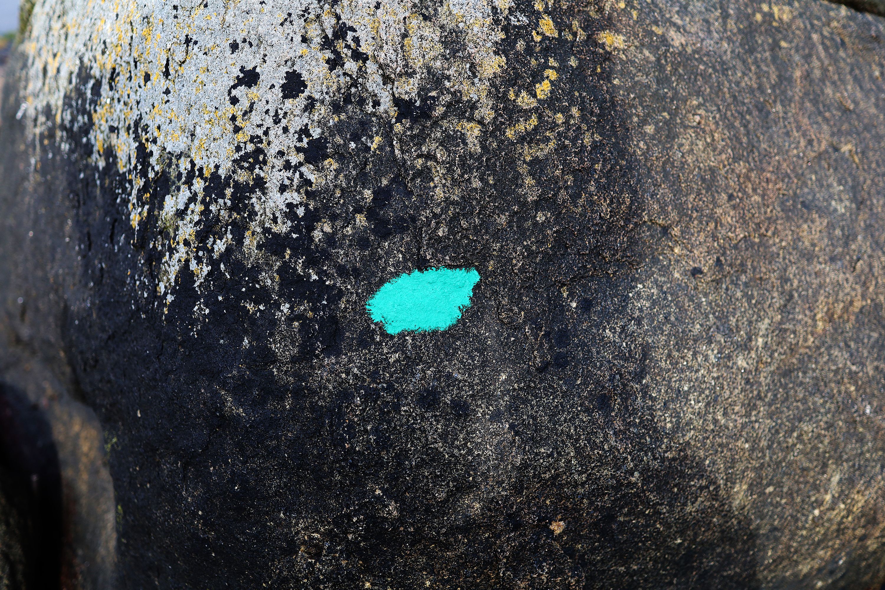whale / chromoxid on rock by Peter Piek