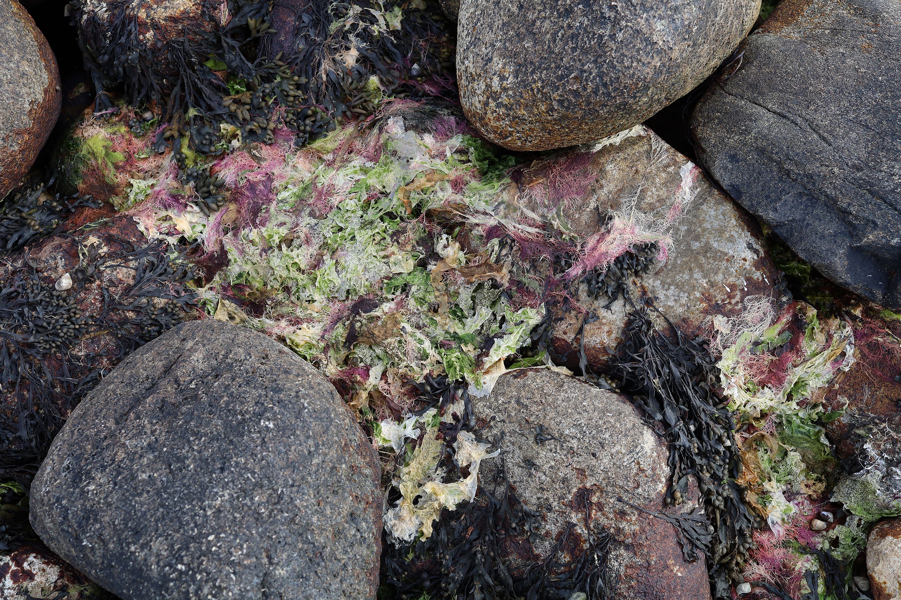 whale / chromoxid on rock by Peter Piek