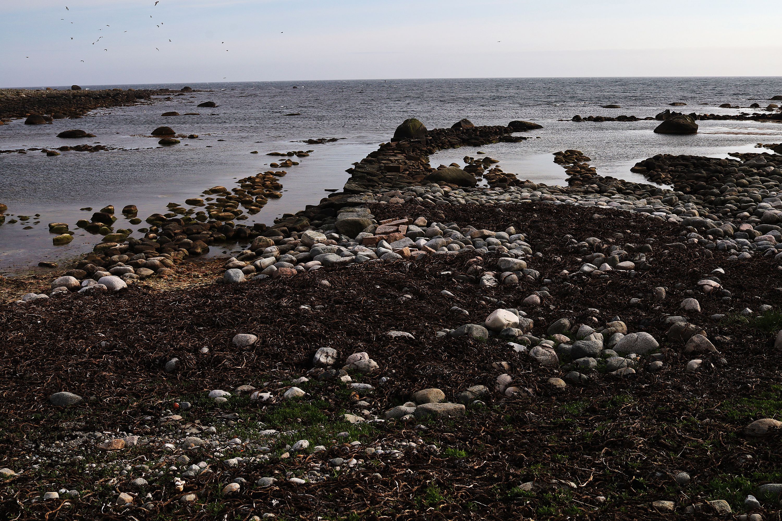 whale / chromoxid on rock by Peter Piek