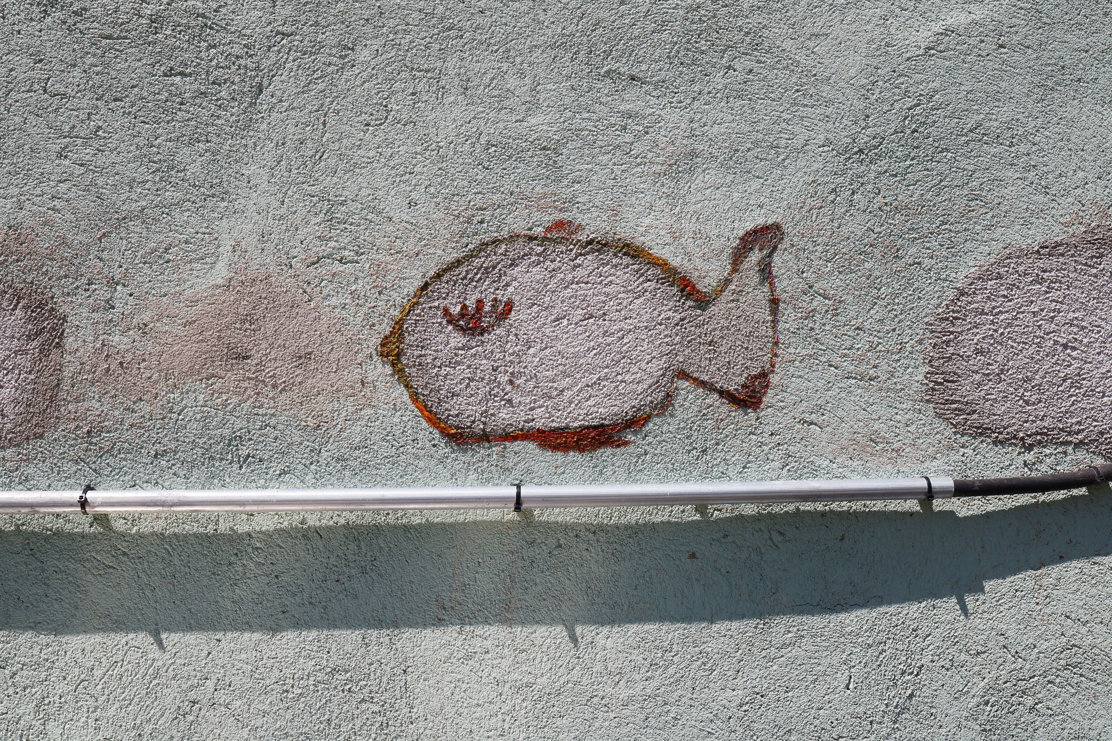 Fish Martinez by Peter Piek