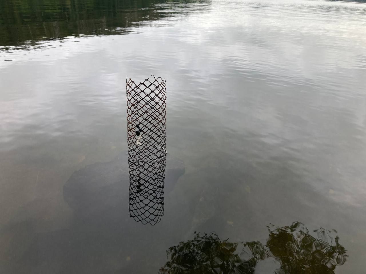 Grill by Michael Goller, Johannes Myller