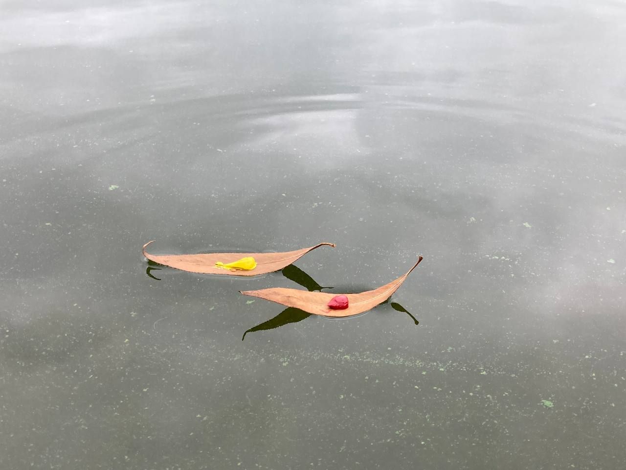 Leaves by Michael Goller, Johannes Myller