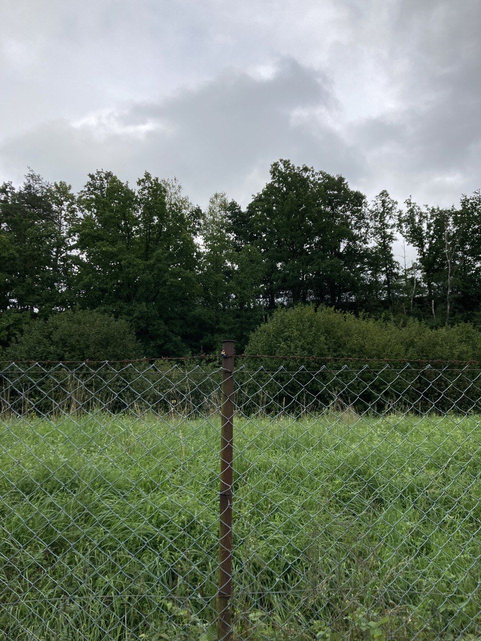 Fence by Michael Goller, Johannes Myller