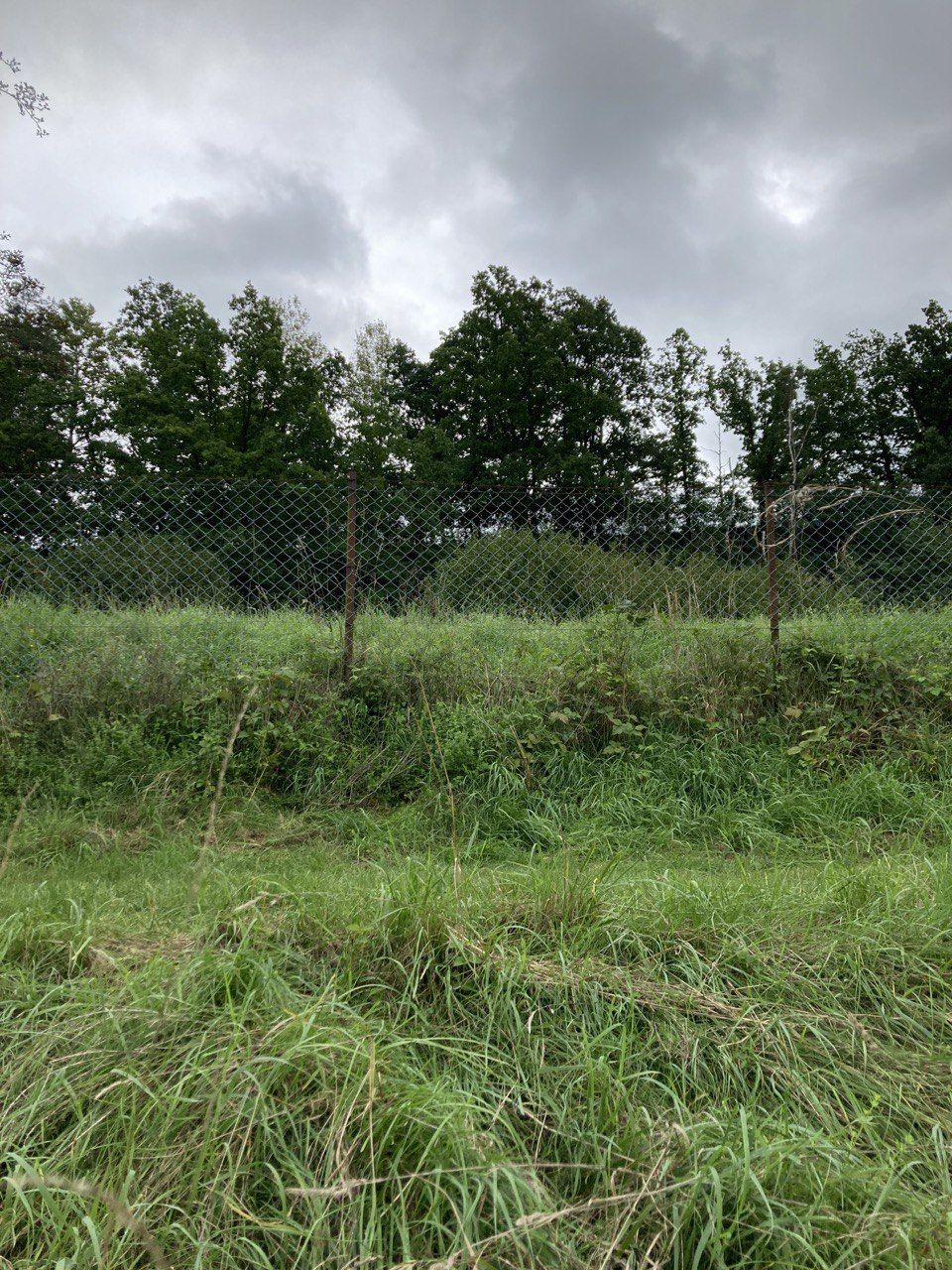Fence by Michael Goller, Johannes Myller