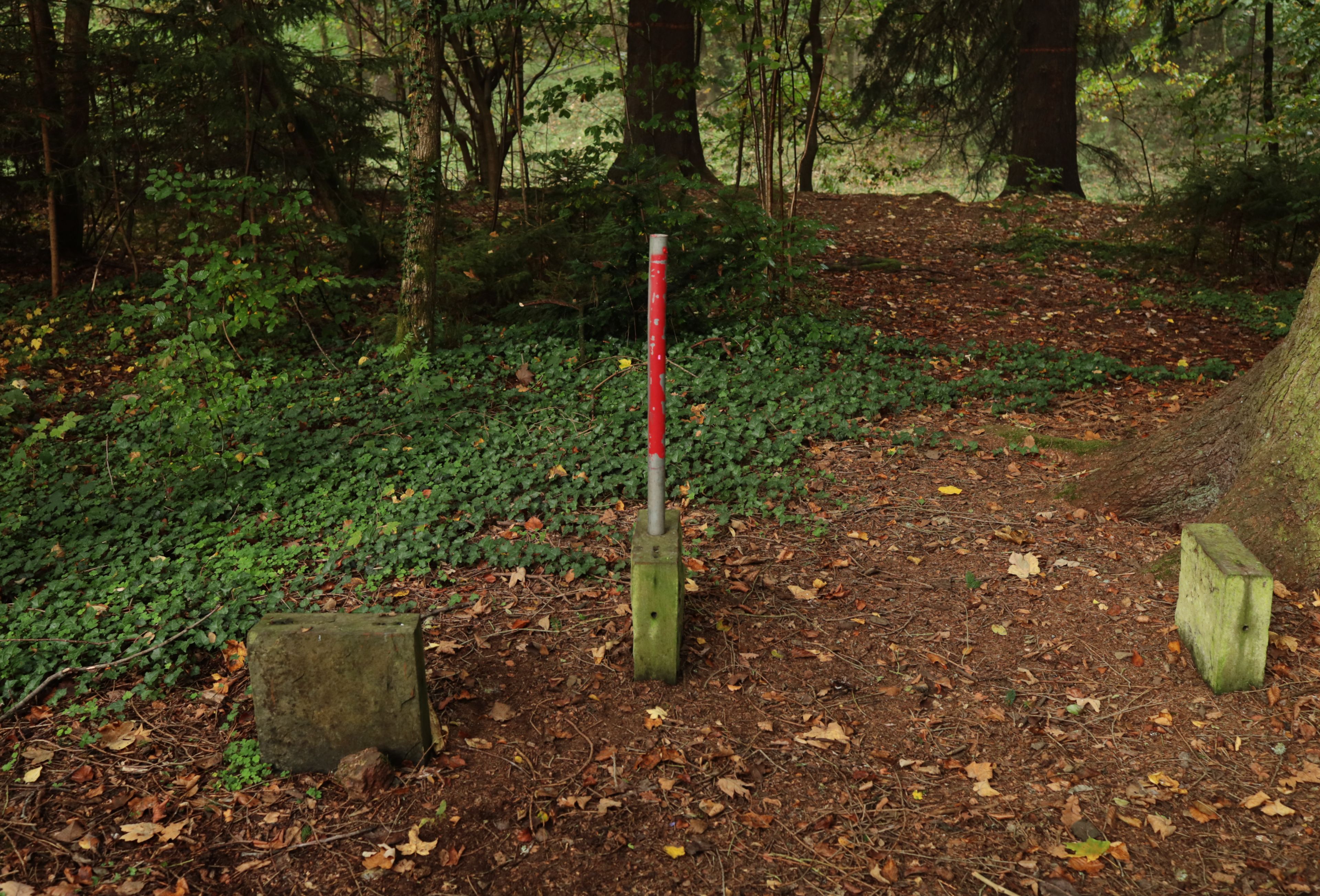 Match by Michael Goller, Johannes Myller, Peter Piek