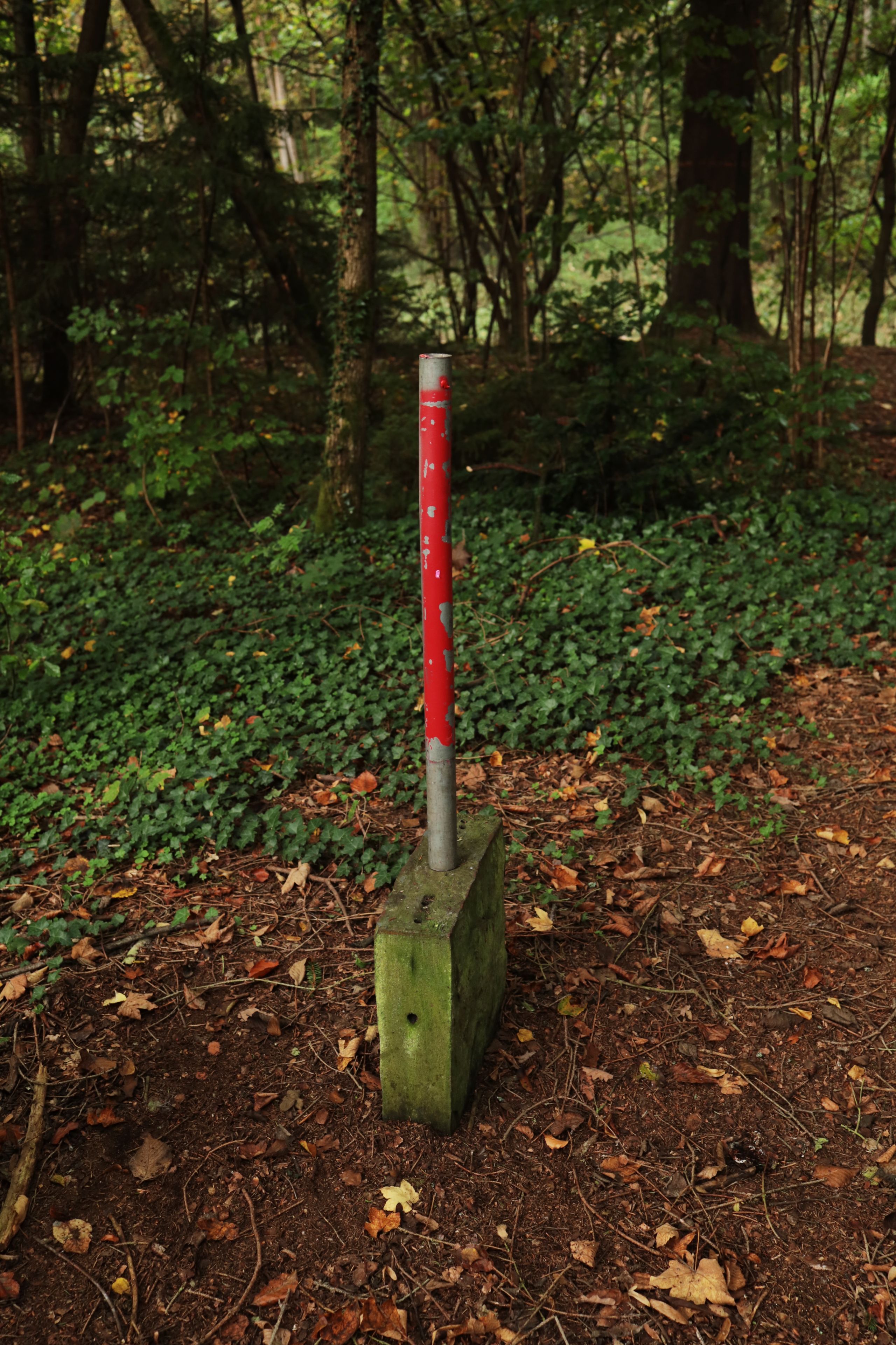 Match by Michael Goller, Johannes Myller, Peter Piek